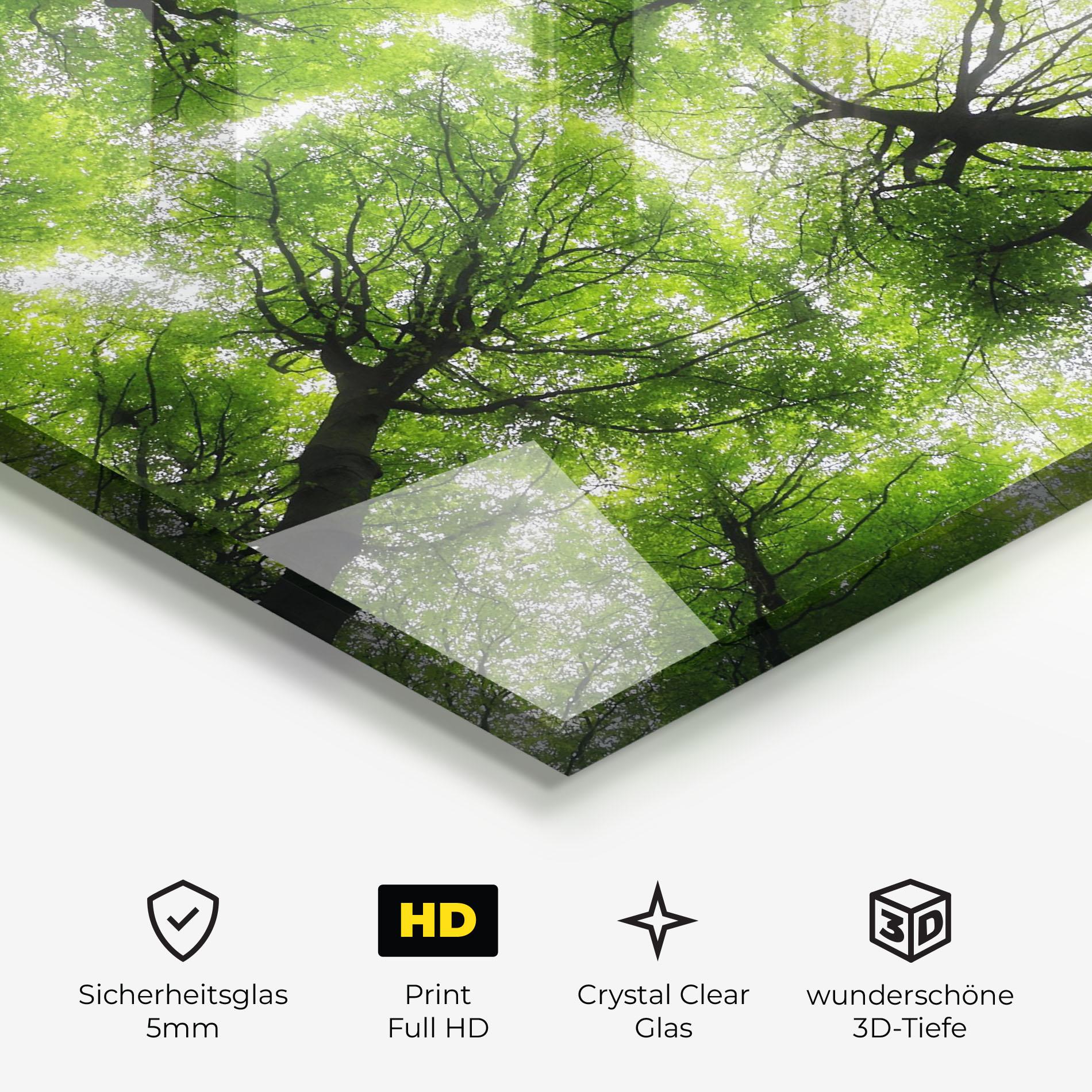 Glasbild Forest Green Tree mockup 3