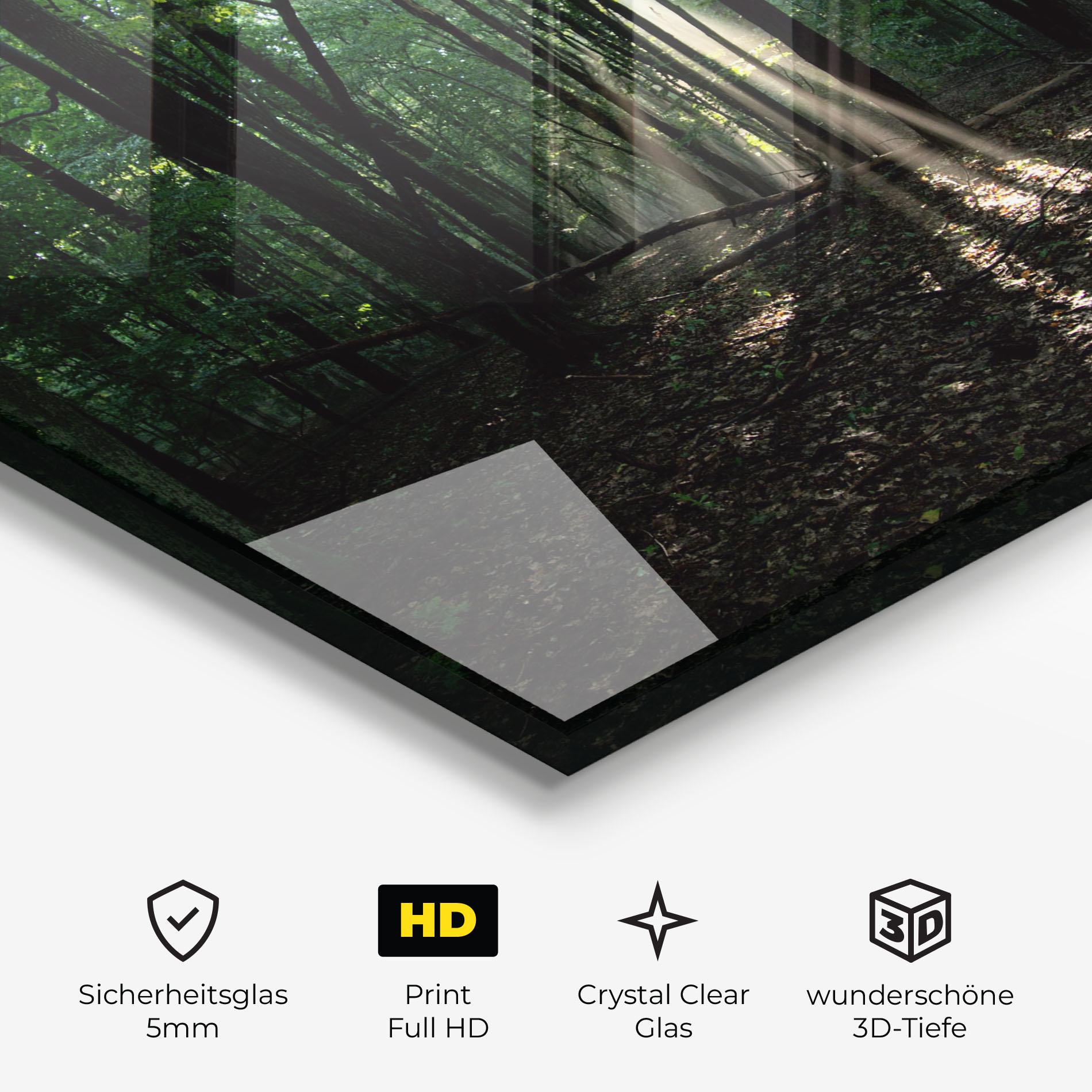Glasbild Forest Sun Light mockup 3