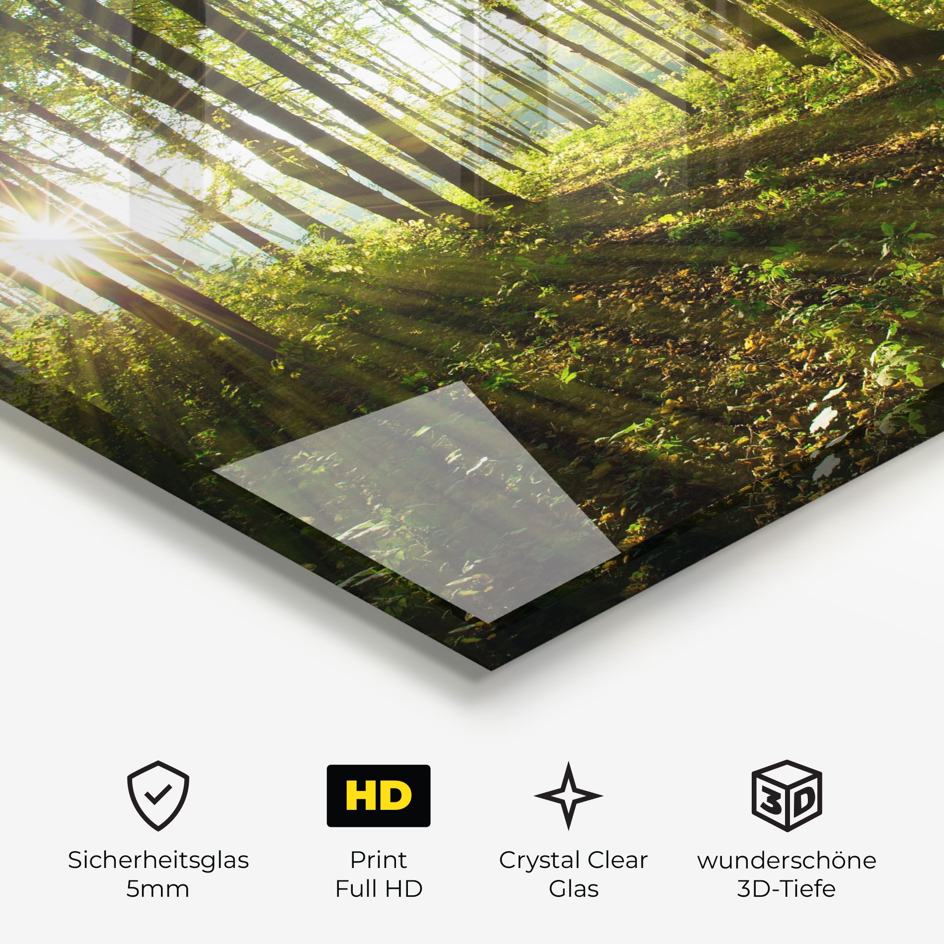 Green Light Forest mockup 3