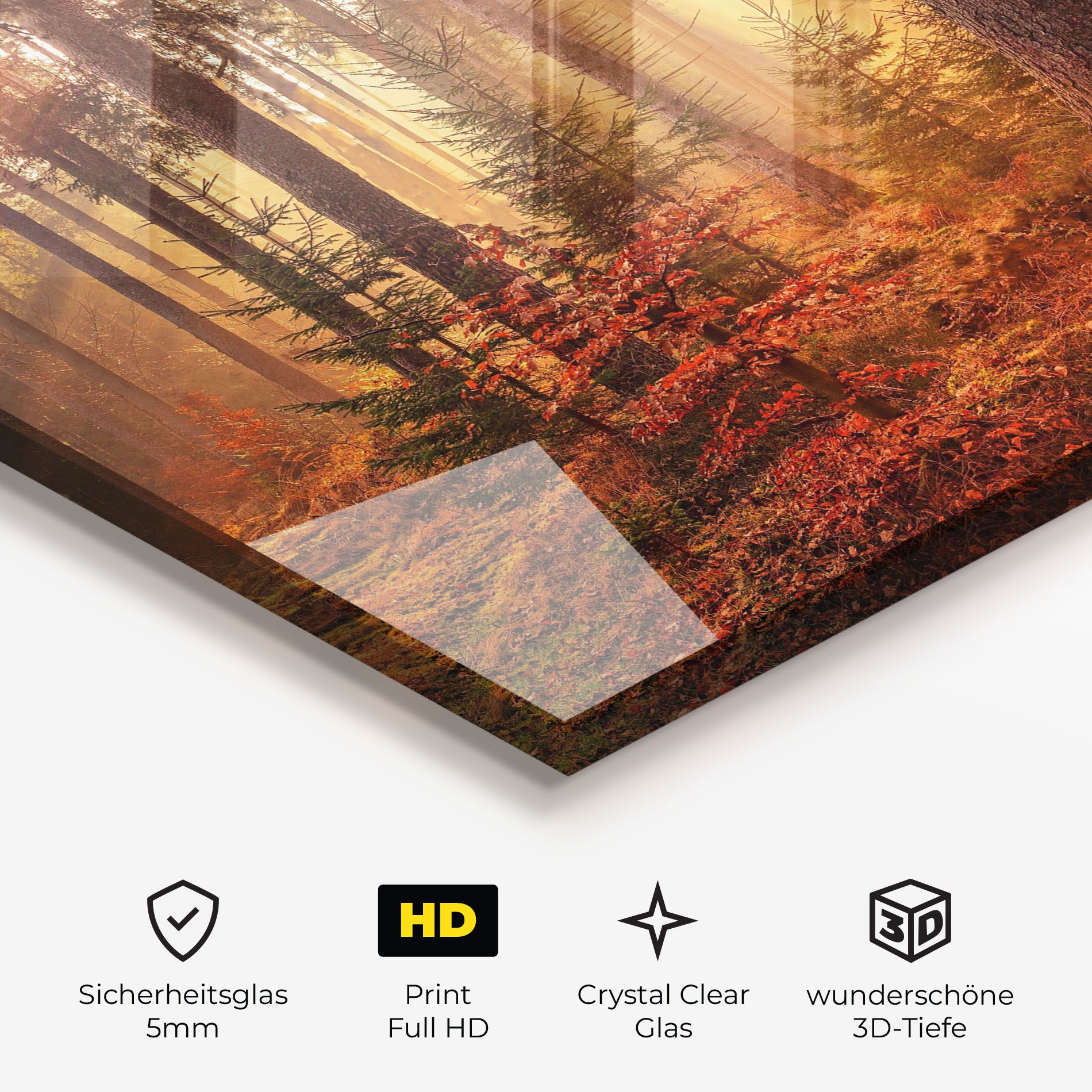 Orange Light Forest mockup 3