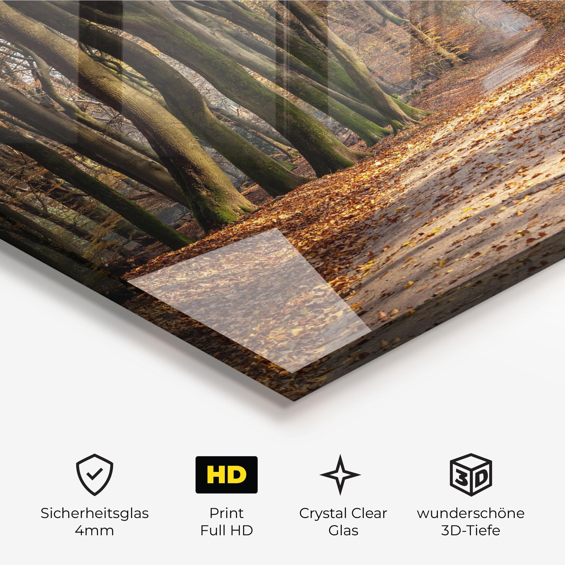 Glasbild Autumn Path Forest mockup 3