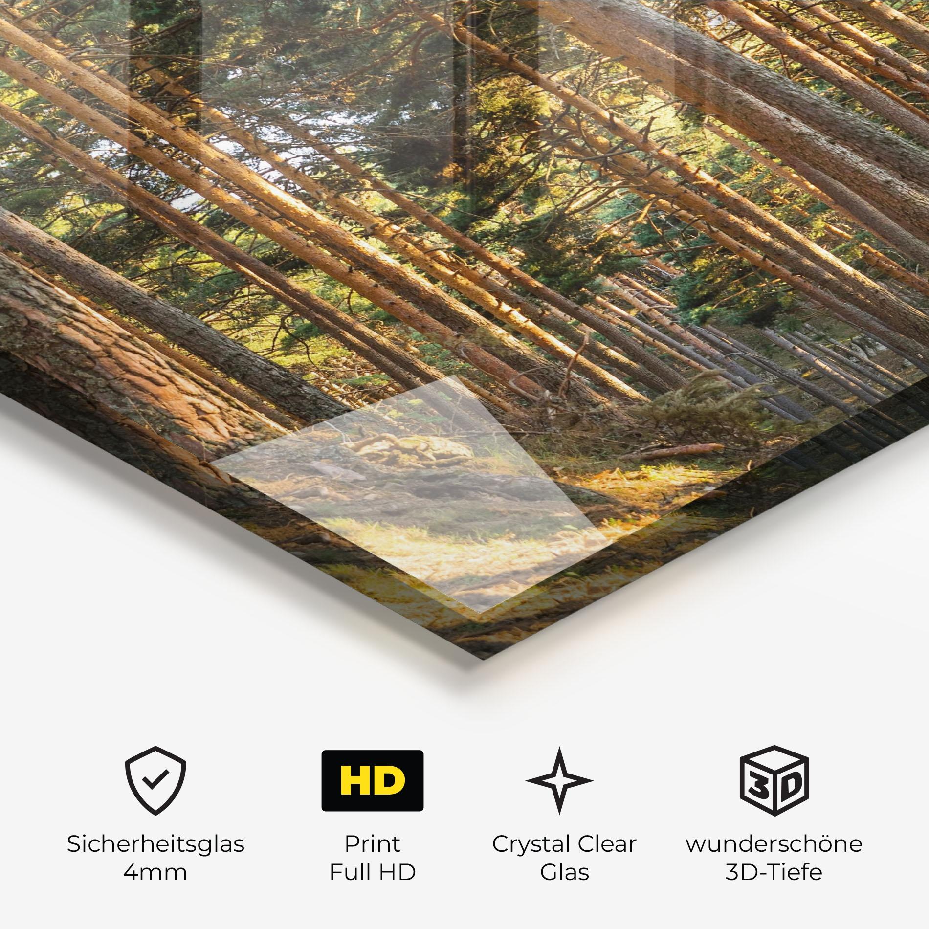 Glasbild Big Trees Forest mockup 3