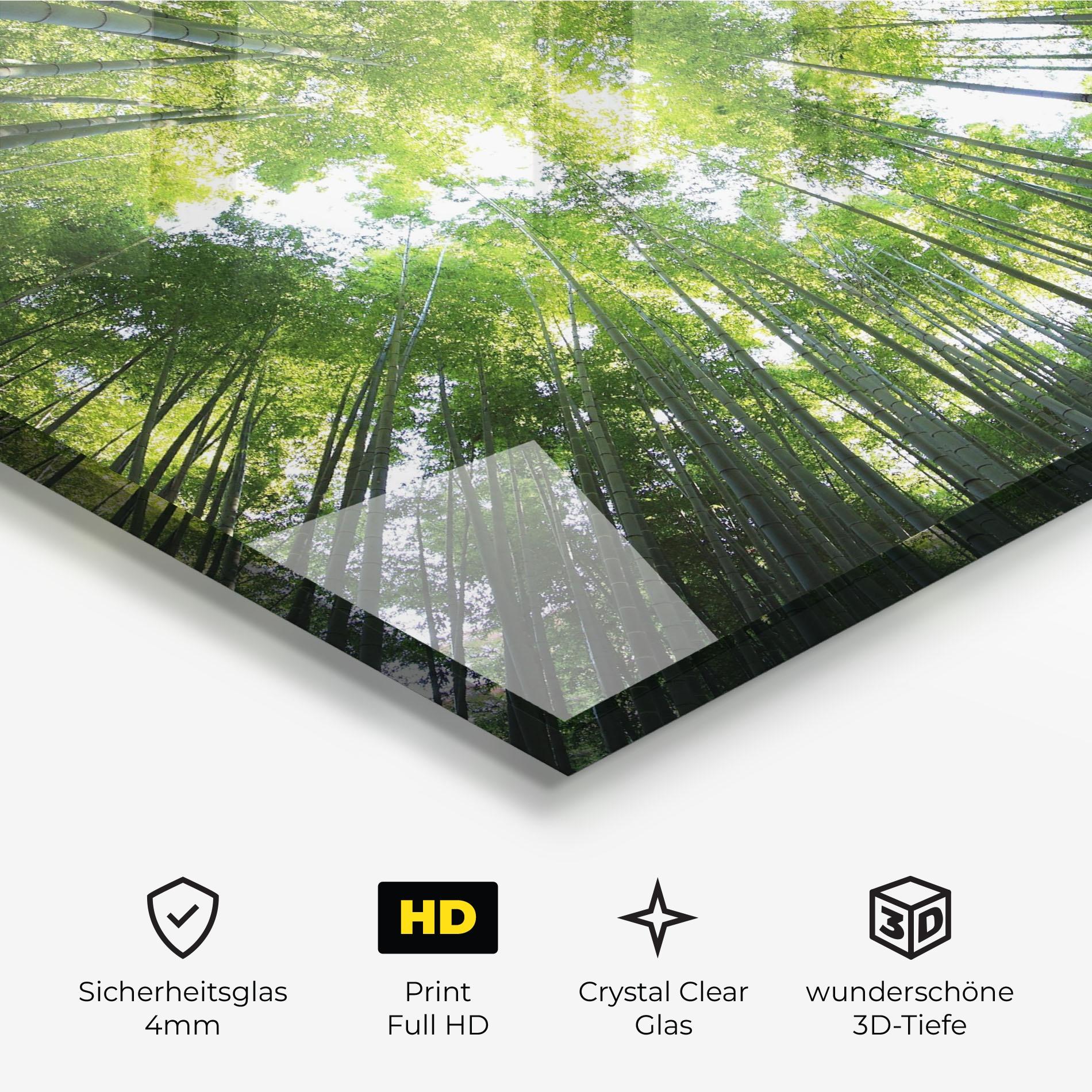 Glasbild Big Trees Morning mockup 3