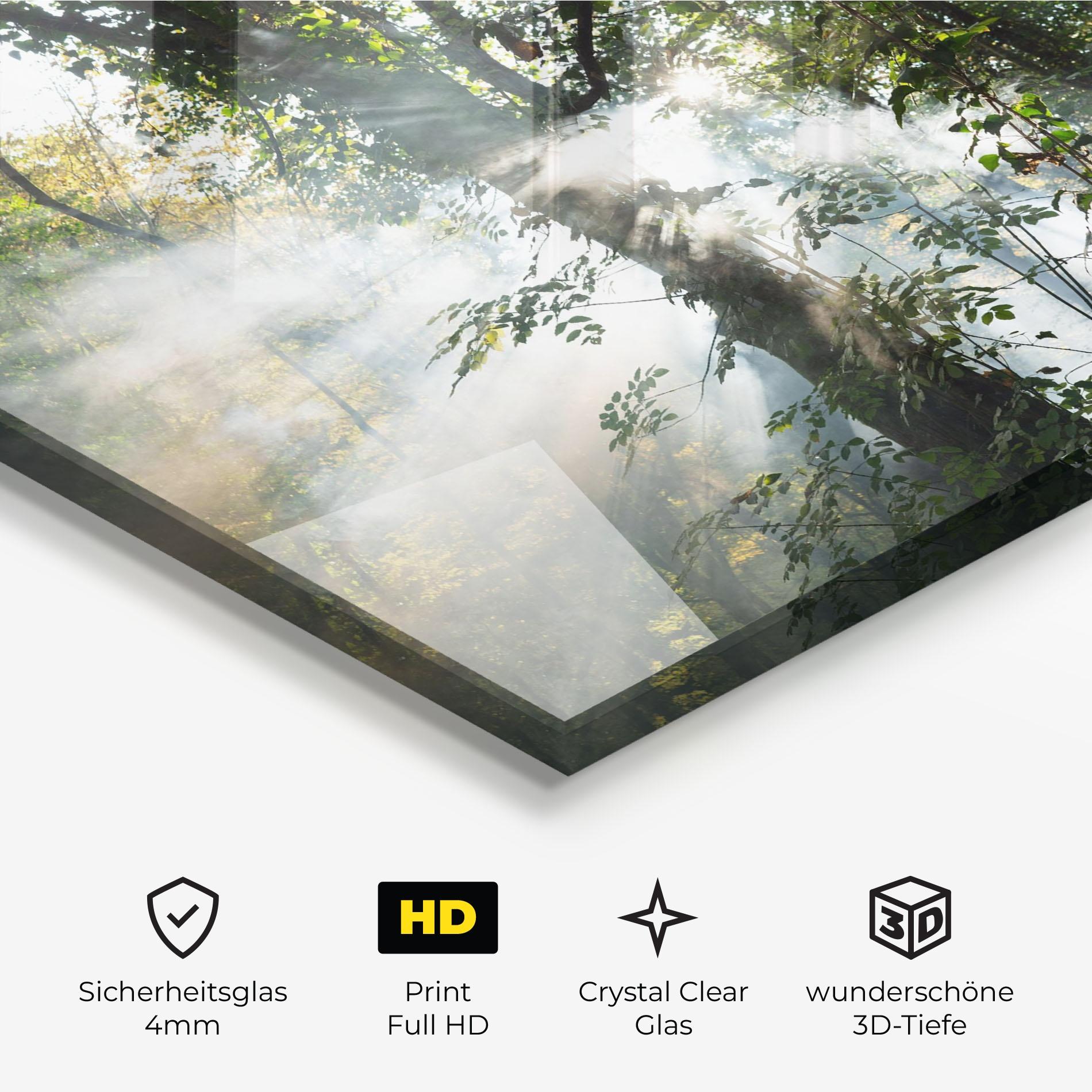 Glasbild Foggy Light Forest mockup 3
