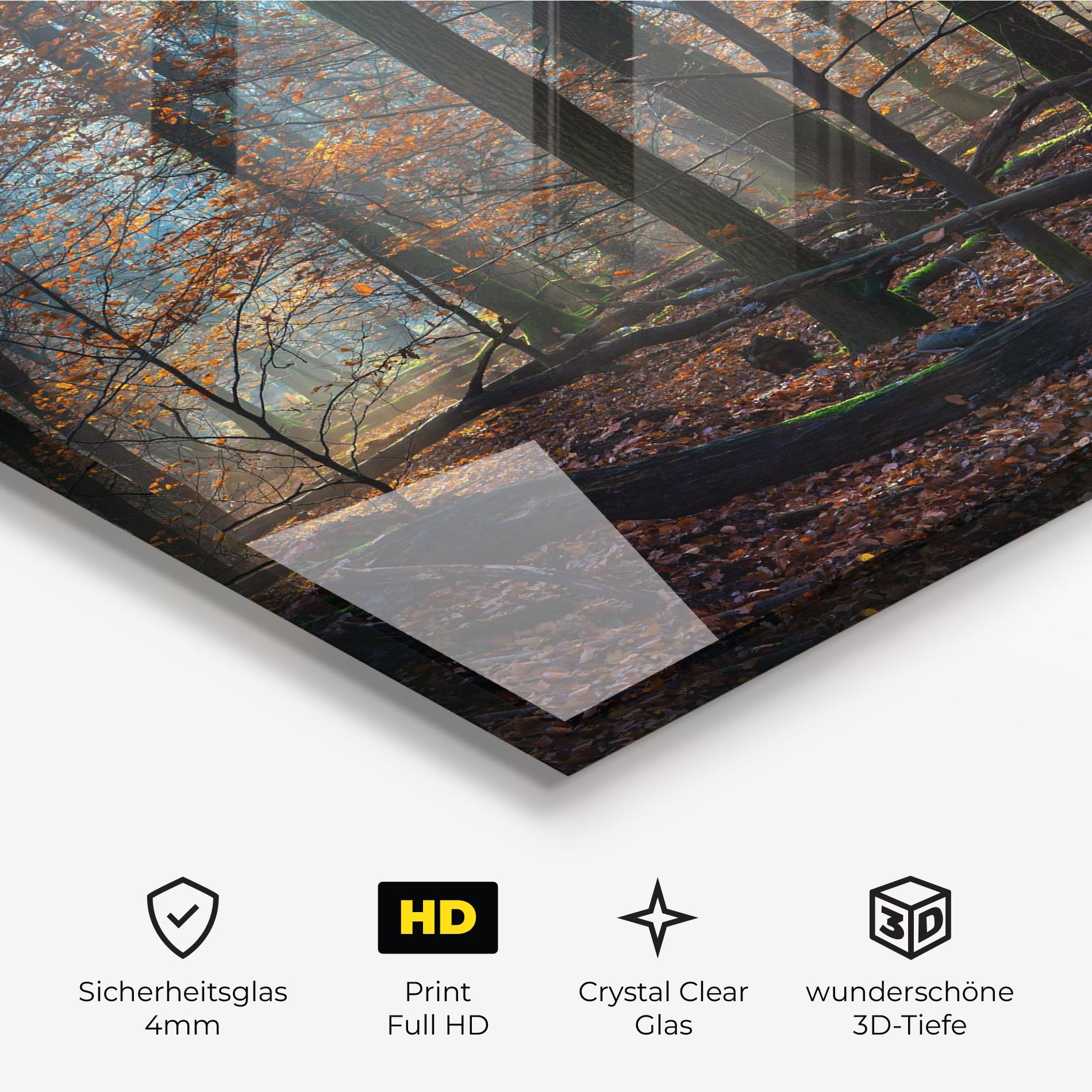 Glasbild Forest Autumn Day mockup 3