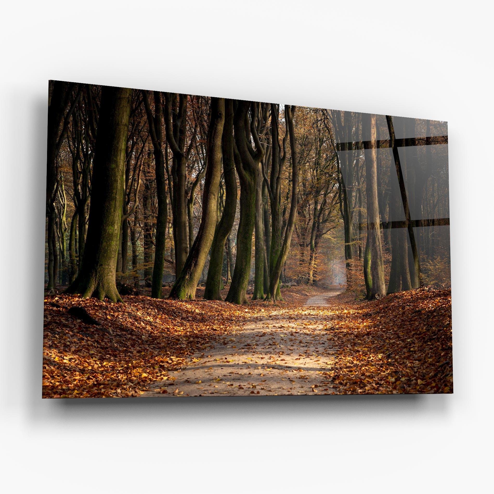 Glasbild Autumn Path Forest mockup 6