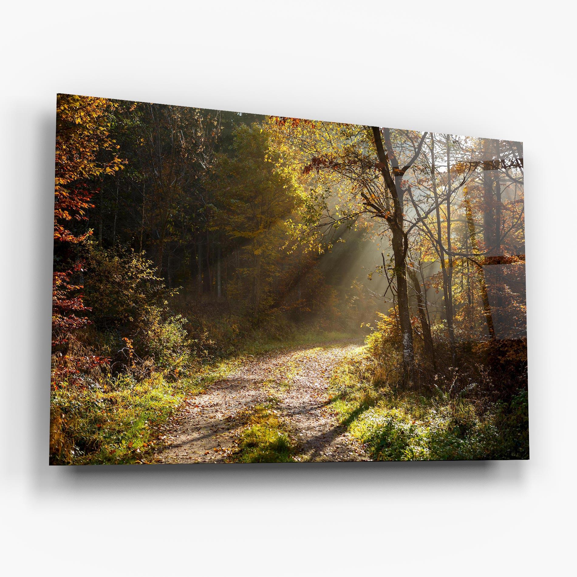 Glasbild Autumn Trees Sun mockup 6