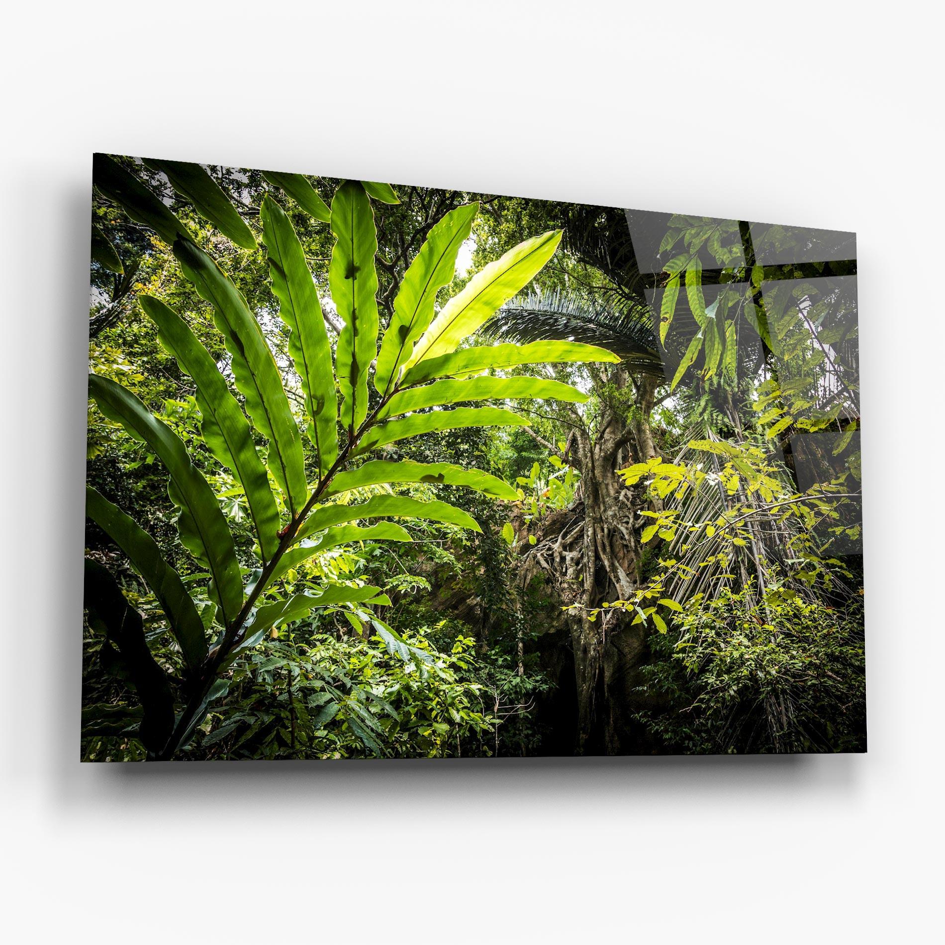 Glasbild Big Leaf Forest mockup 6