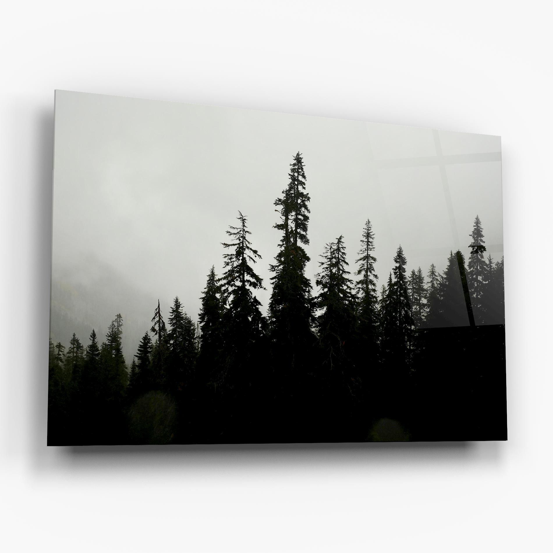 Black Tree Forest mockup 6