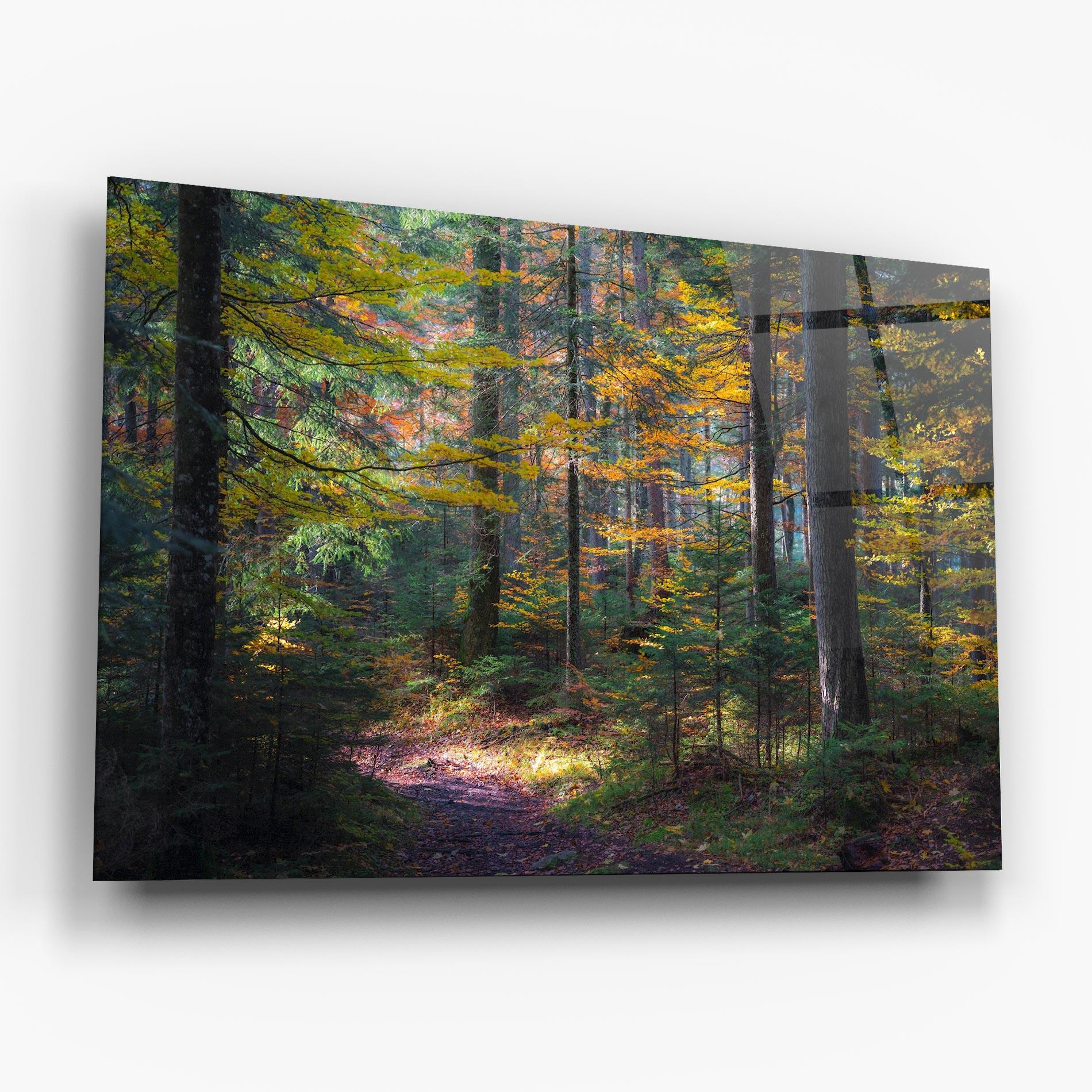 Glasbild Dreamy Path Dorest mockup 6