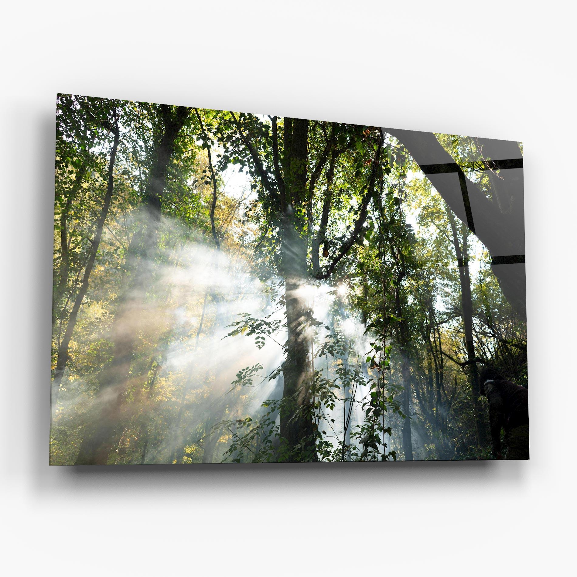 Glasbild Foggy Light Forest mockup 6
