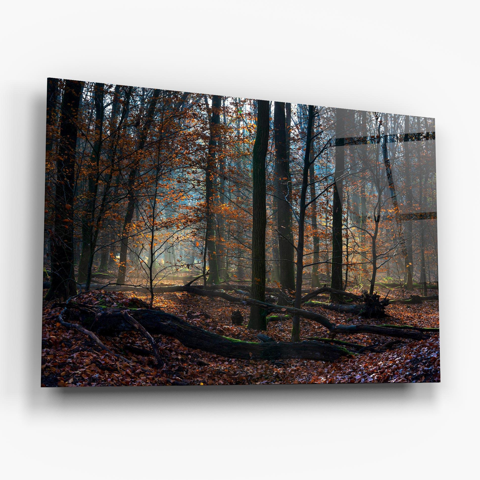 Glasbild Forest Autumn Day mockup 6