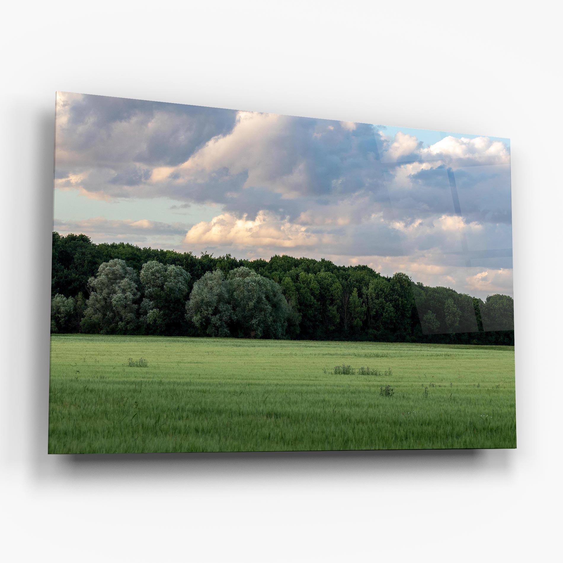 Glasbild Forest Field mockup 6