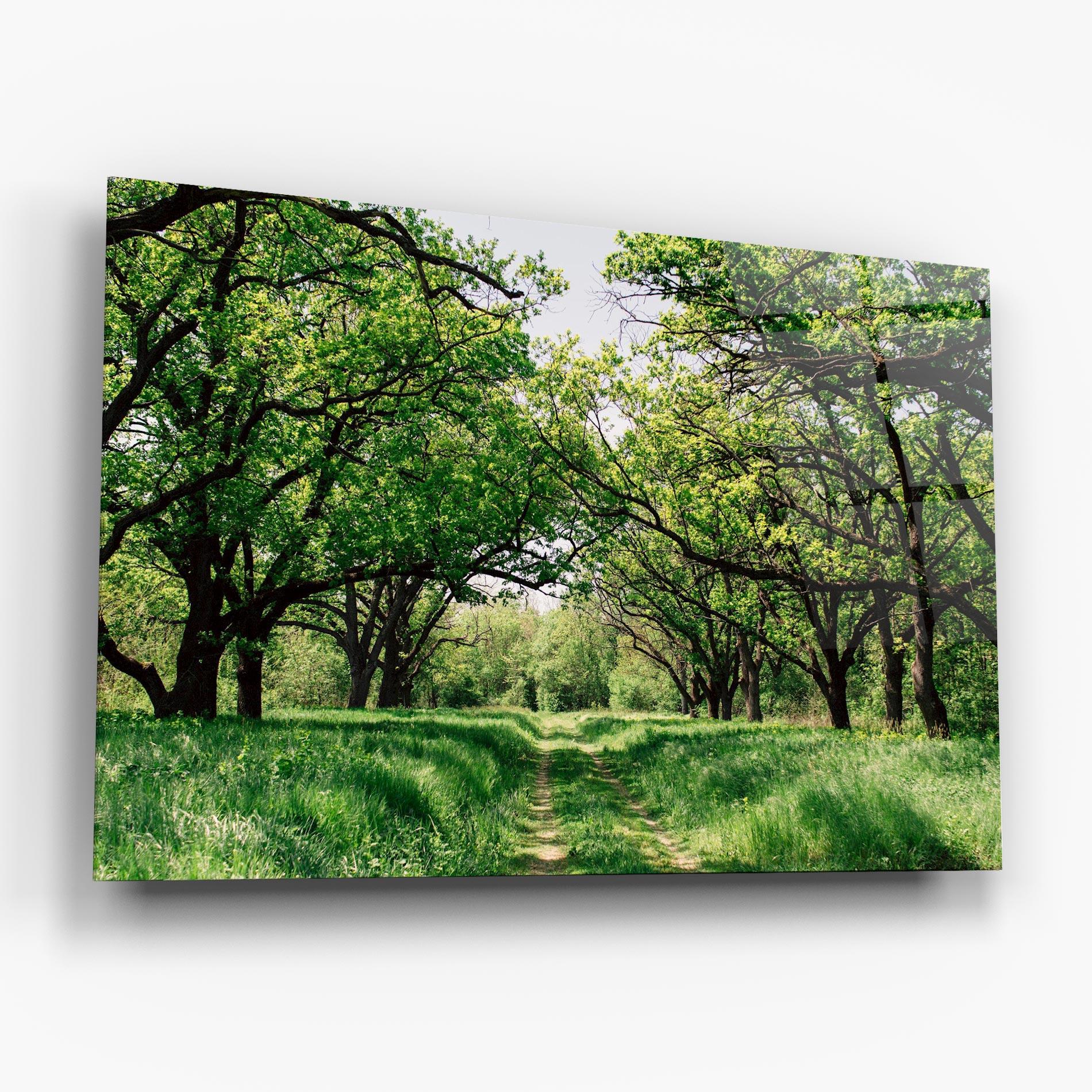 Glasbild Forest Green Path mockup 6