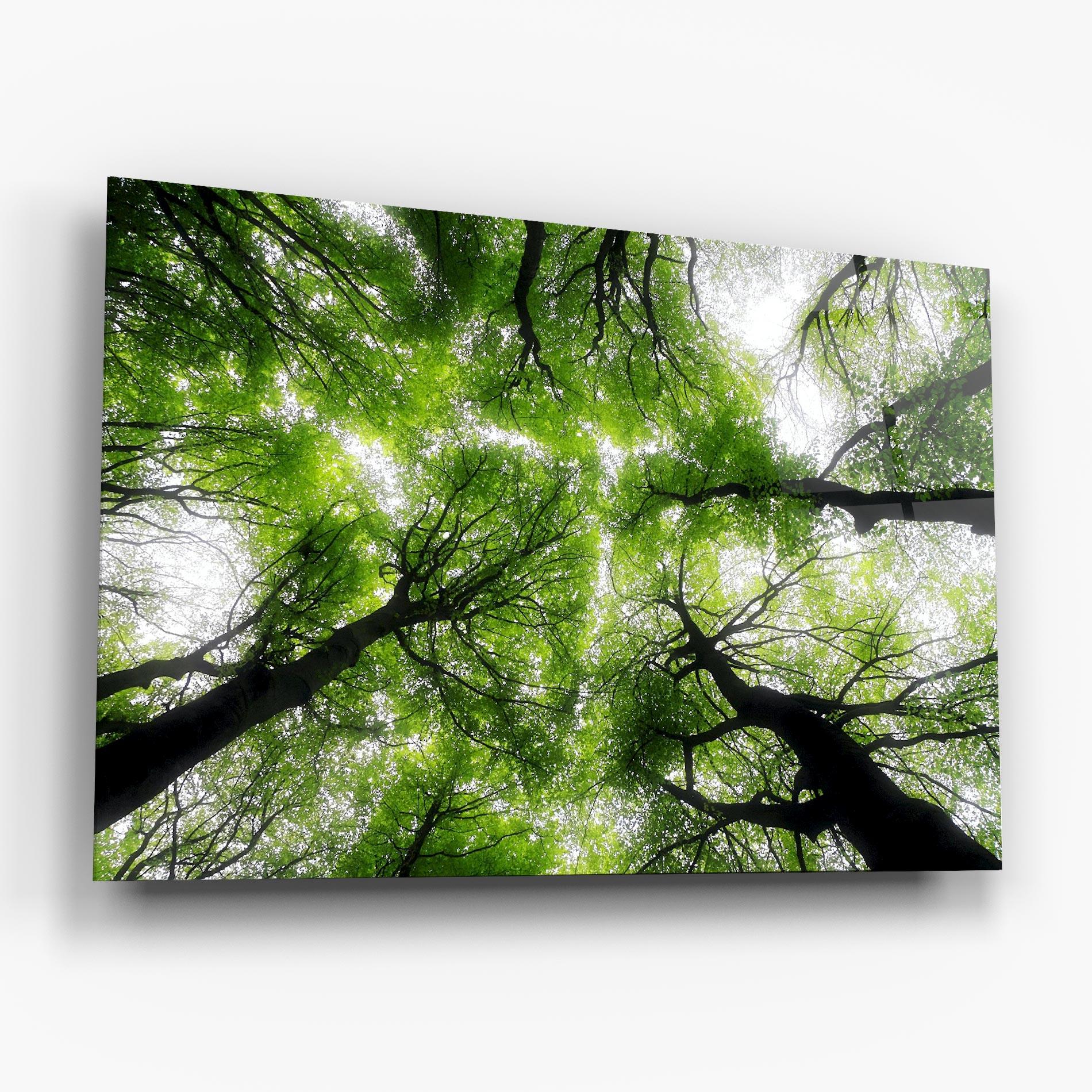 Glasbild Forest Green Tree mockup 6