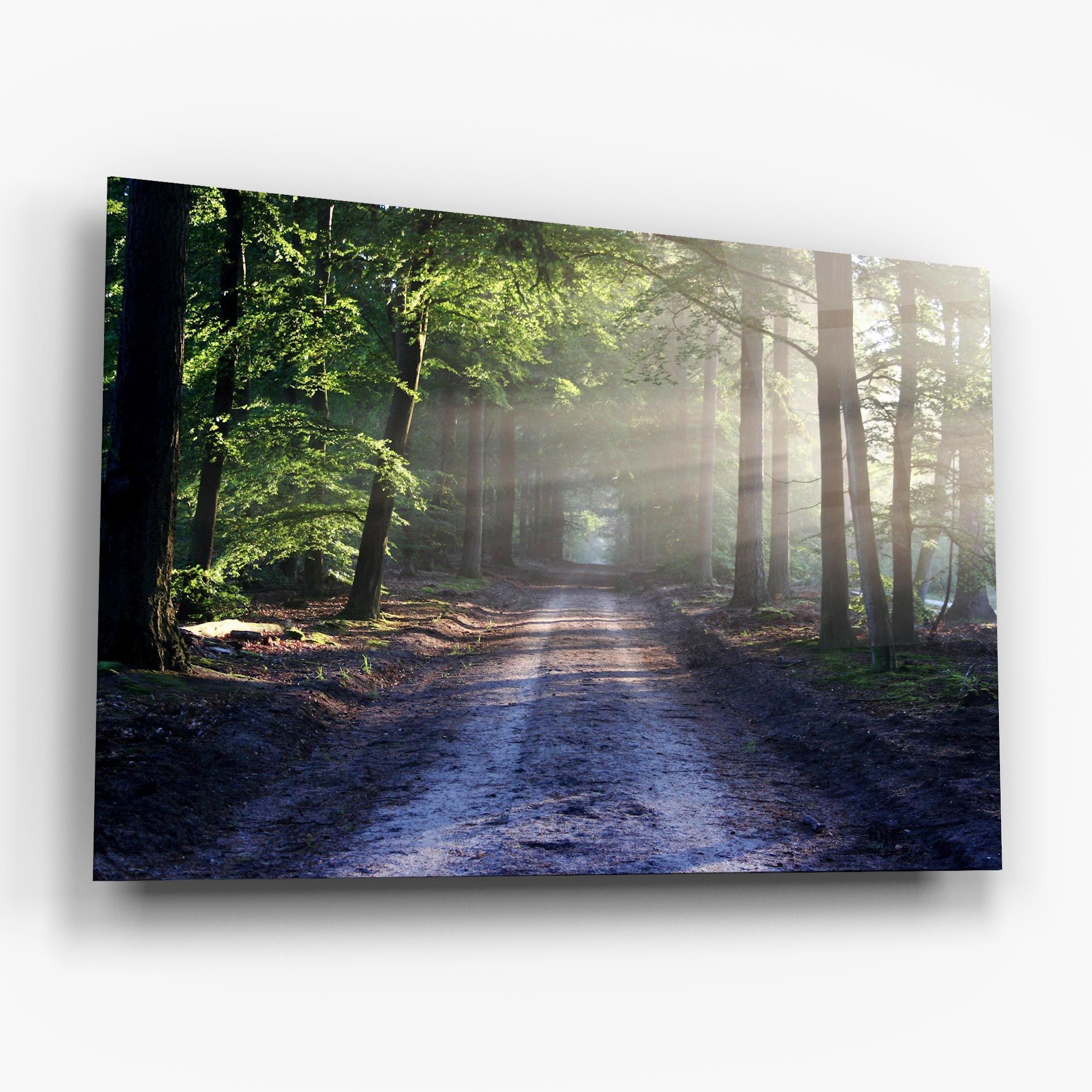 Forest Road mockup 6