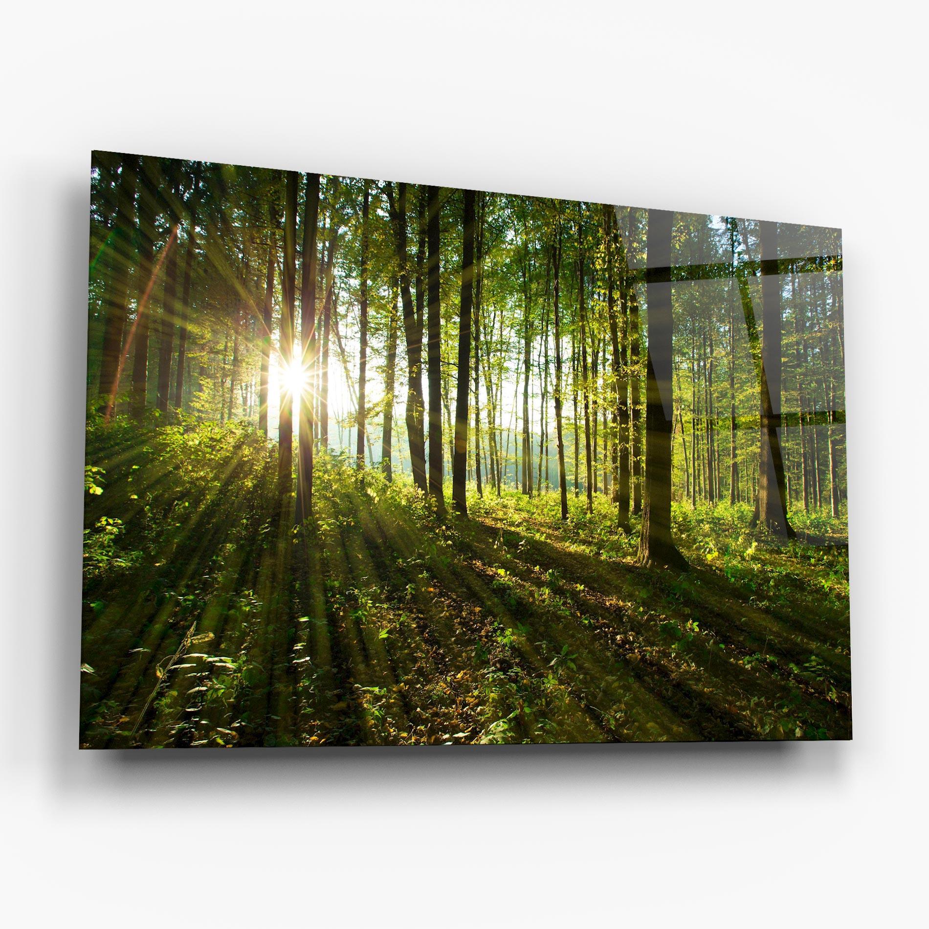 Glasbild Green Light Forest mockup 6