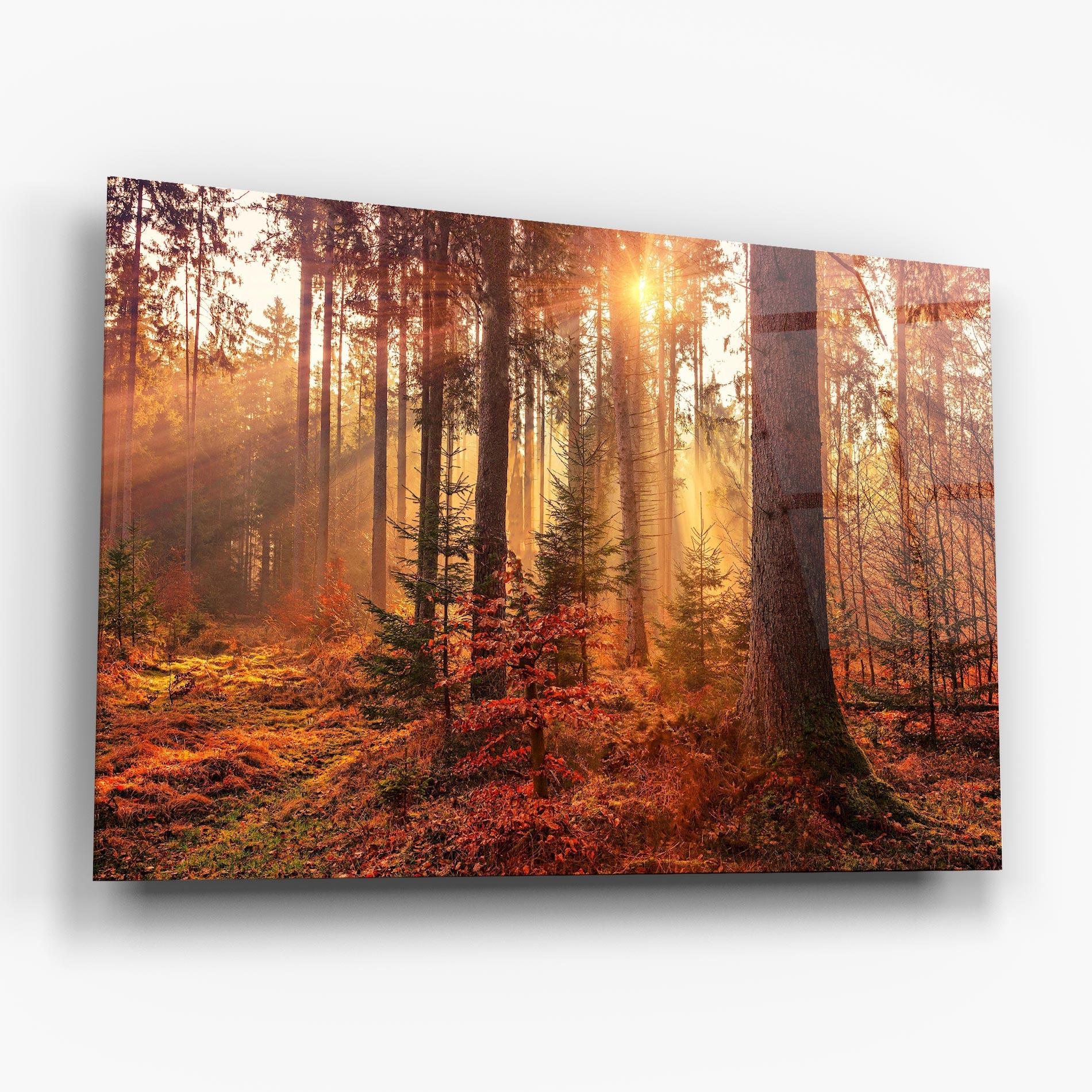 Glasbild Orange Light Forest mockup 6