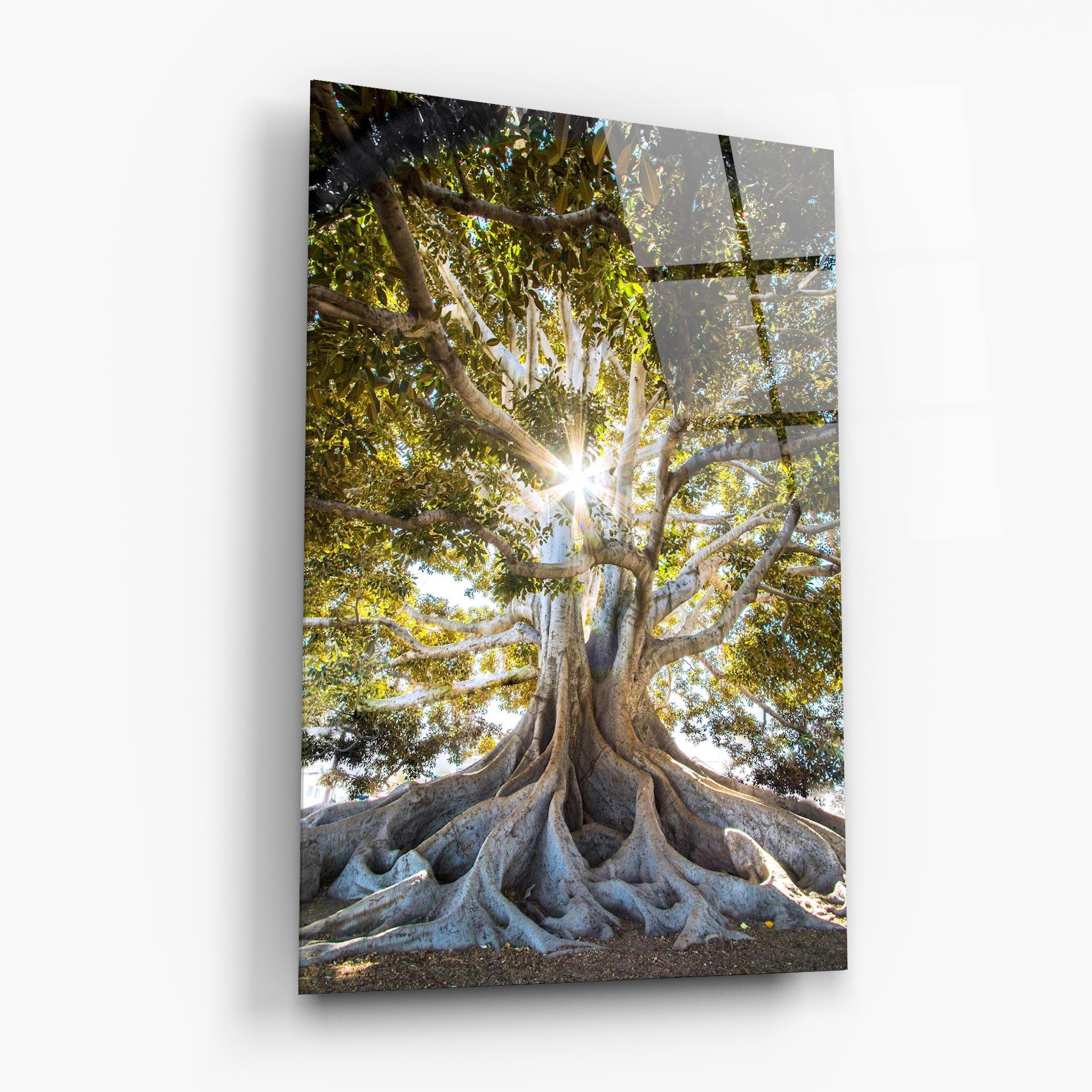 Glasbild Big Old Tree mockup 6