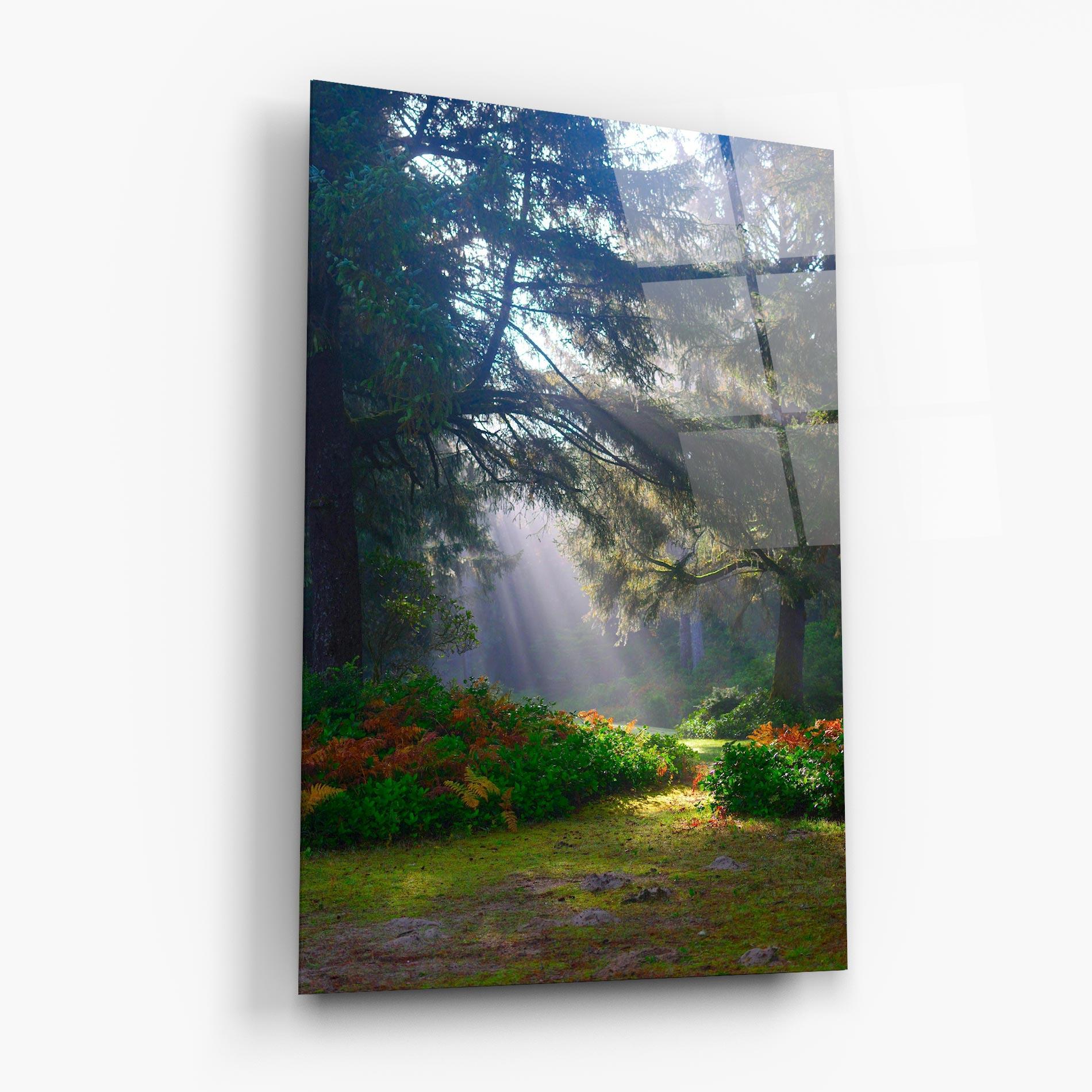 Glasbild Forest Light mockup 6