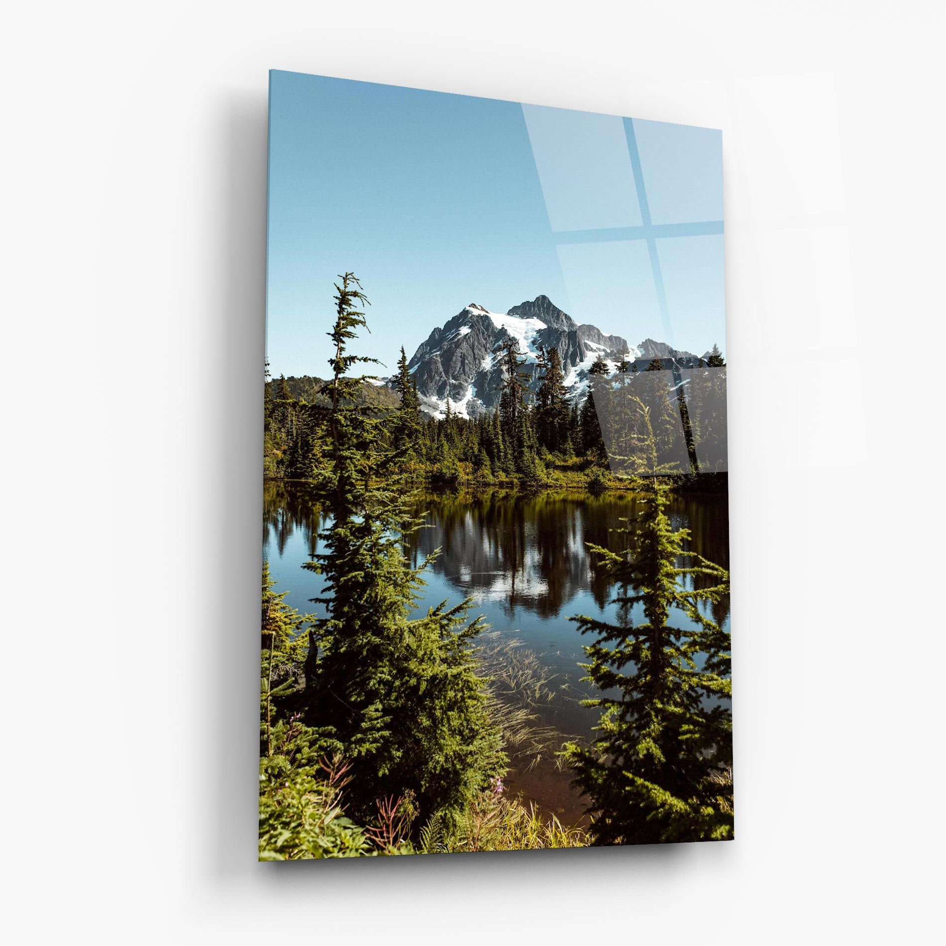Forest Snow Mountain mockup 6