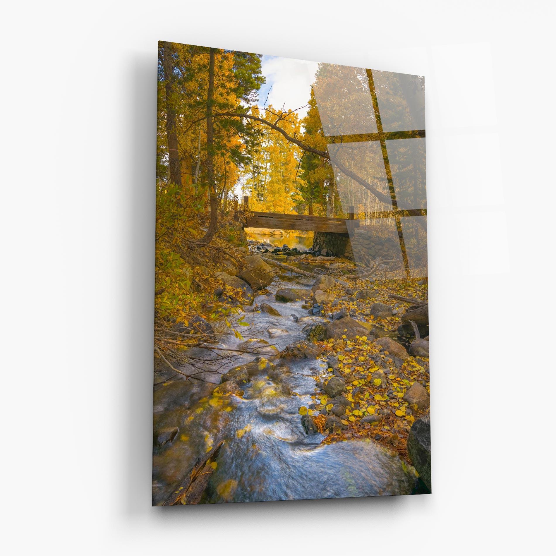 Glasbild Yellow View Forest mockup 6