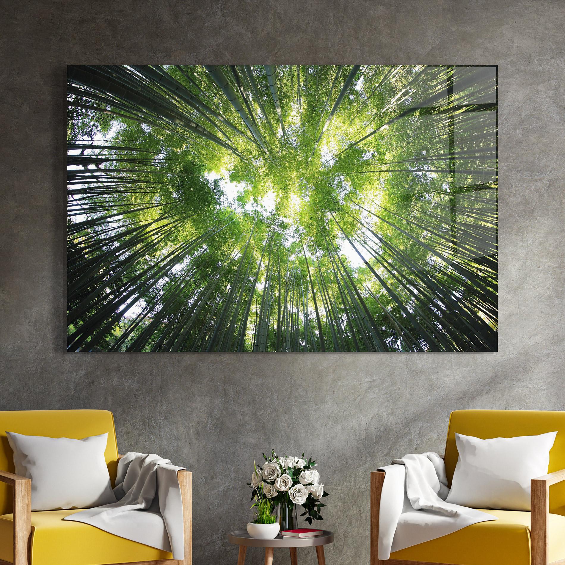 Glasbild Big Trees Morning mockup 4