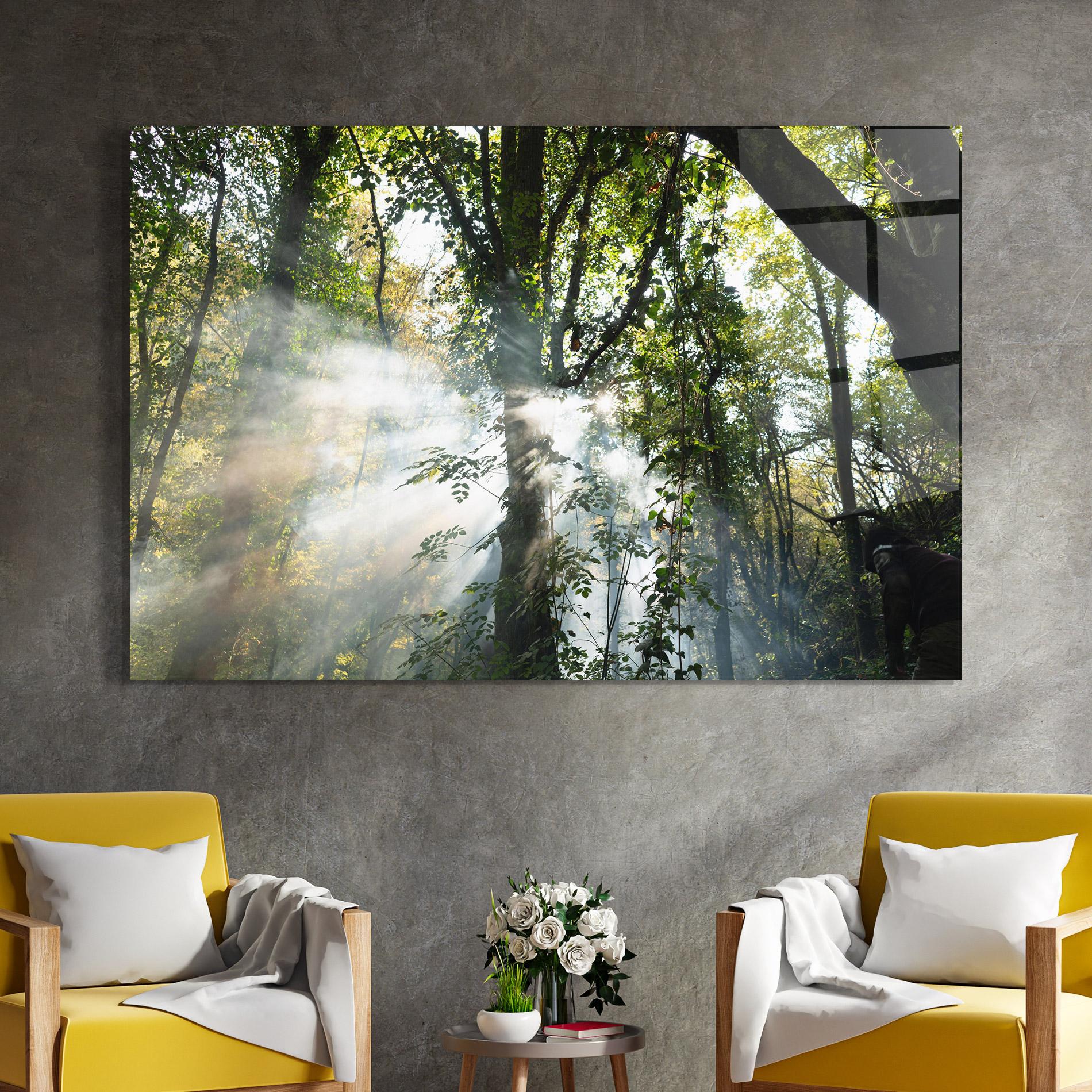 Glasbild Foggy Light Forest mockup 4