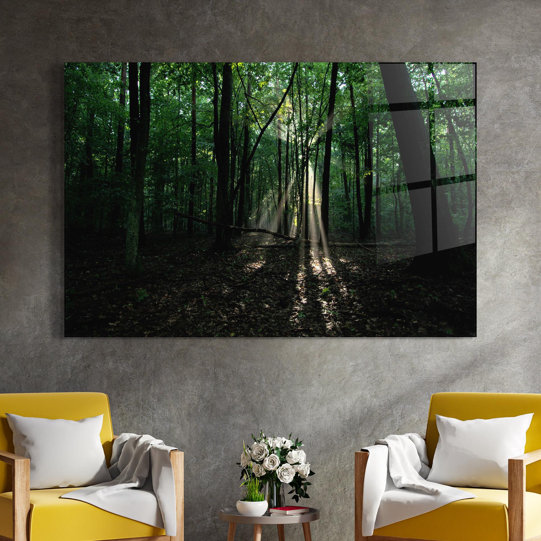 Glasbild Forest Sun Light mockup 4