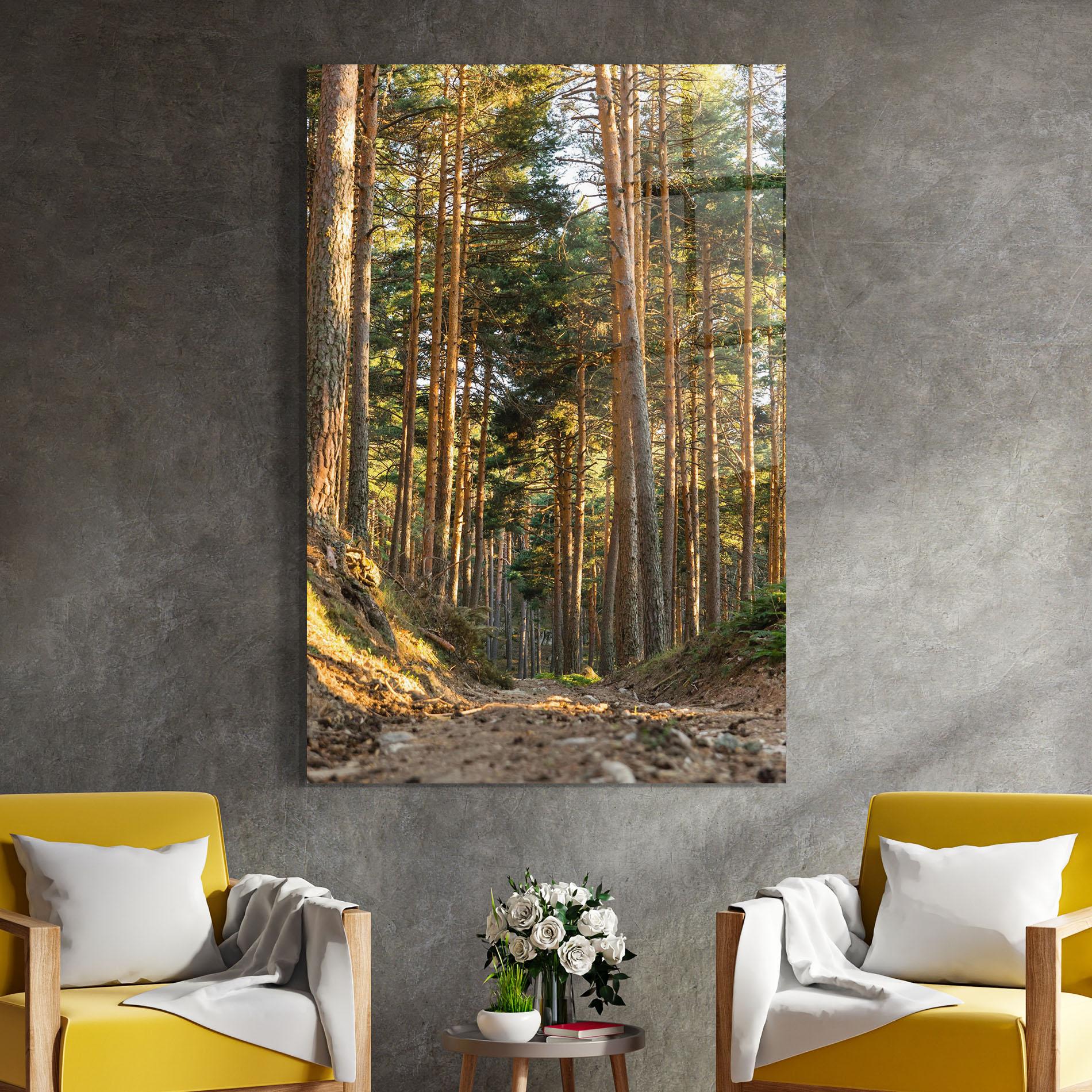 Glasbild Big Trees Forest mockup 4