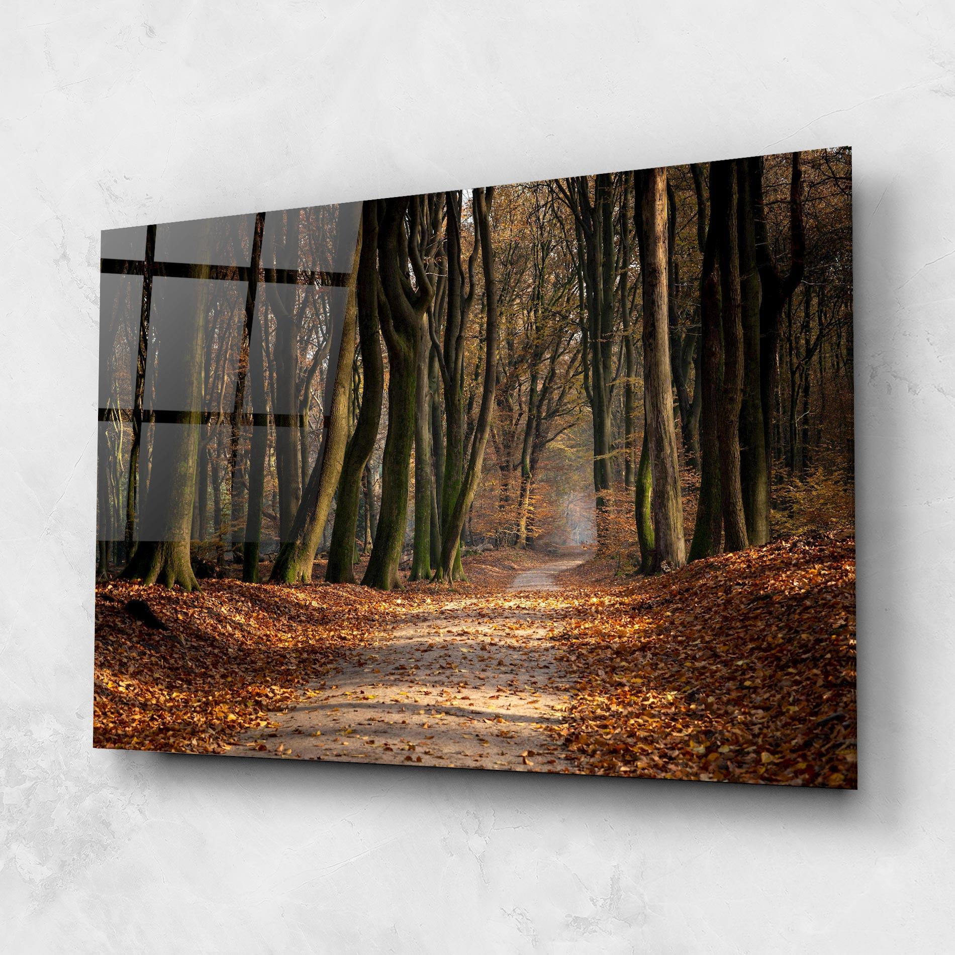 Glasbild Autumn Path Forest mockup 1