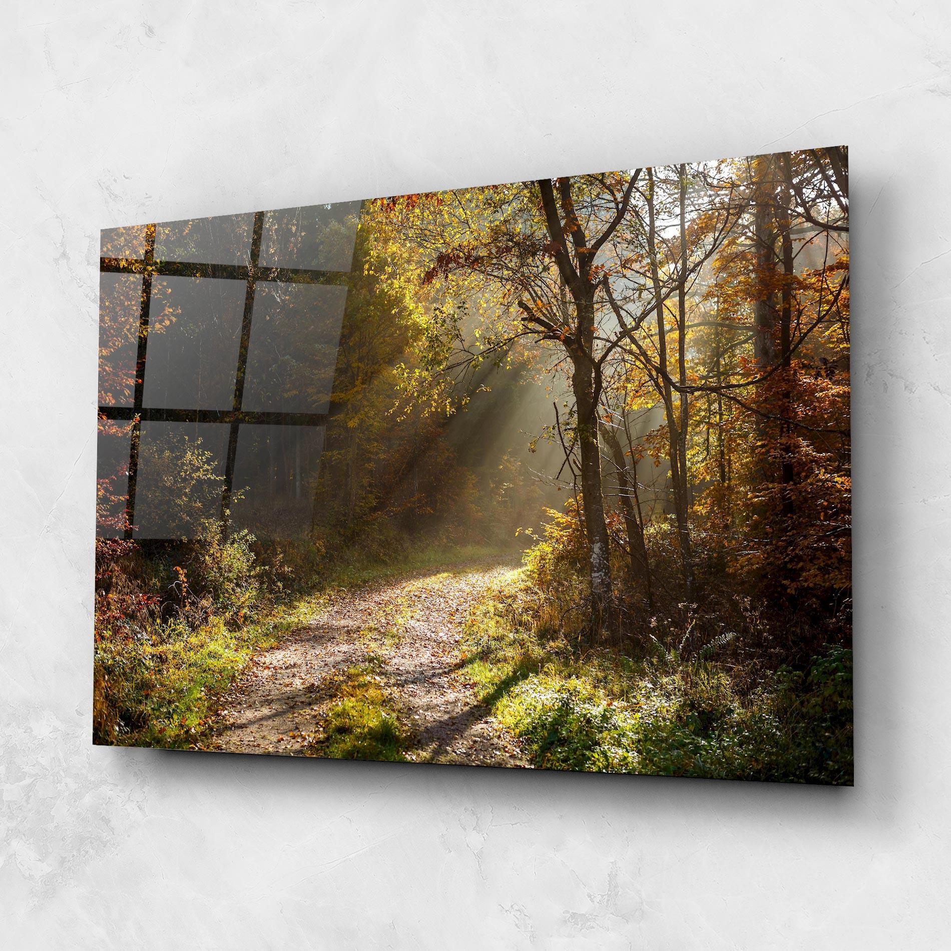 Glasbild Autumn Trees Sun mockup 1