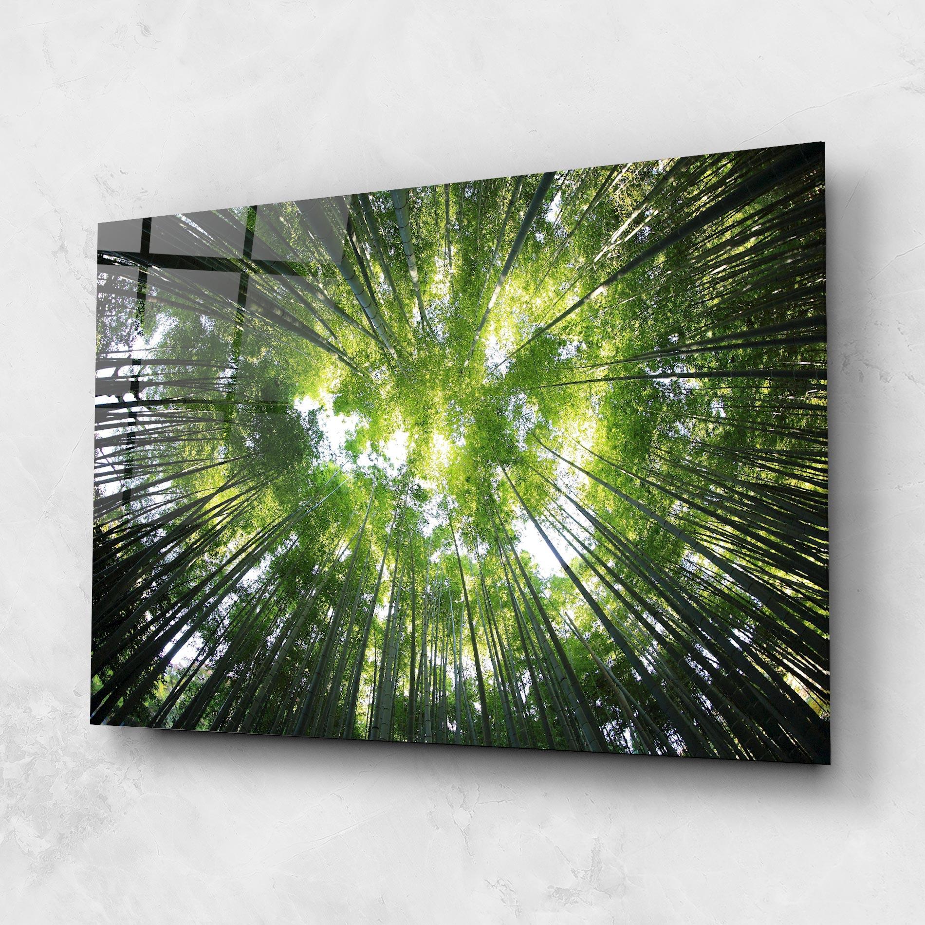 Glasbild Big Trees Morning mockup 1