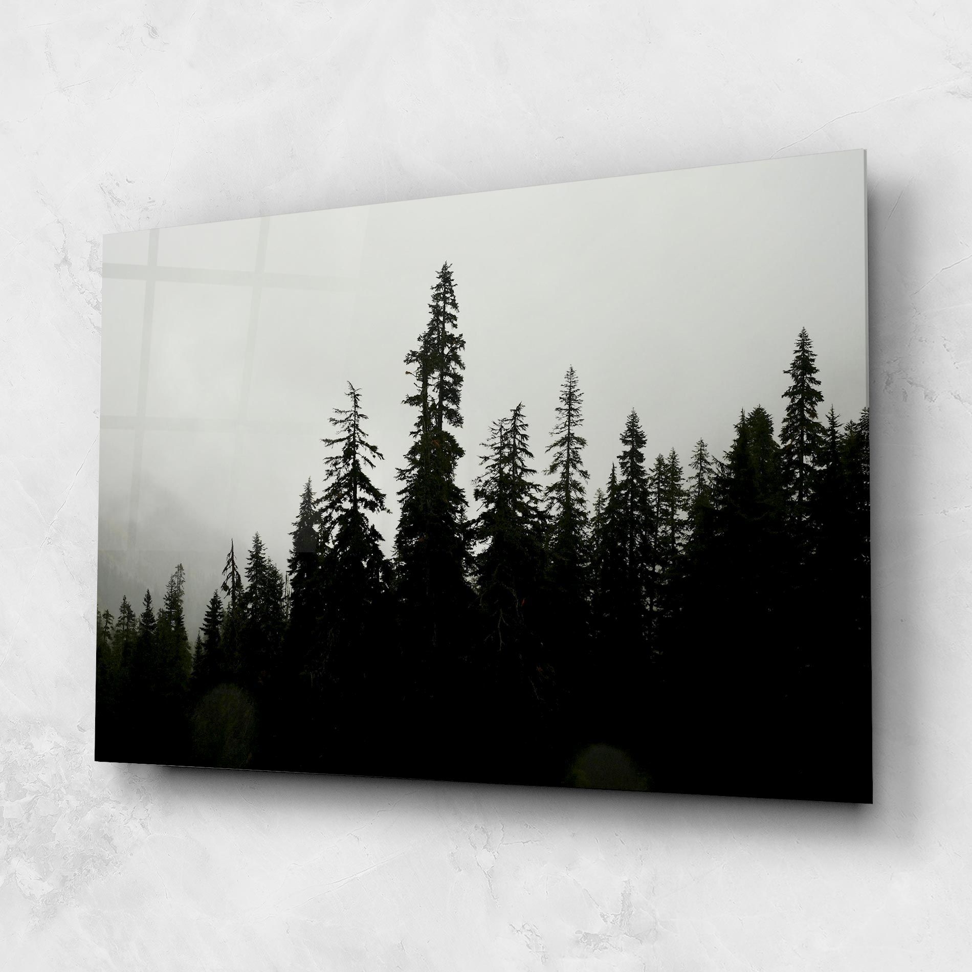 Black Tree Forest mockup 1