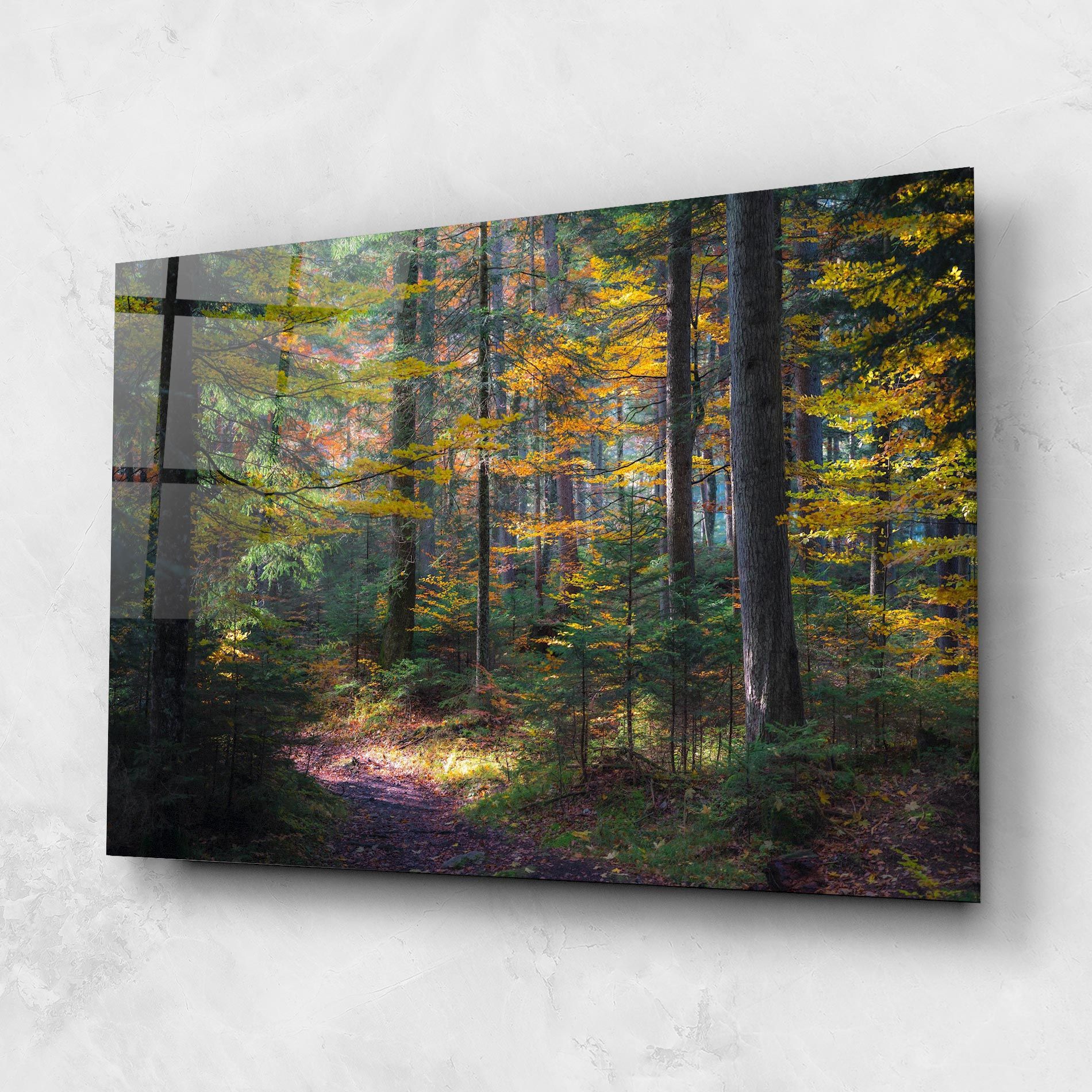 Dreamy Path Dorest mockup 1