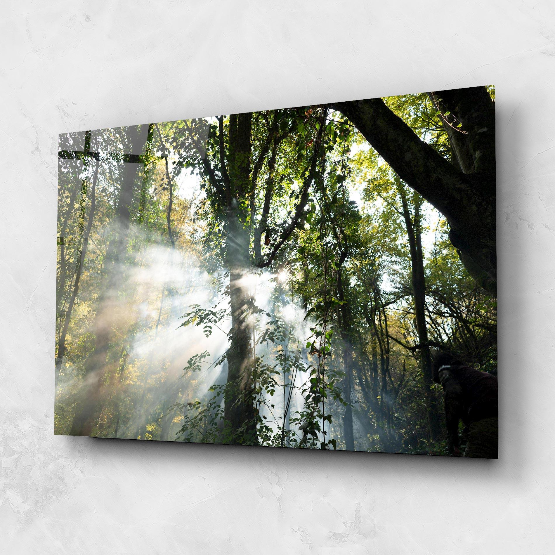 Glasbild Foggy Light Forest mockup 1