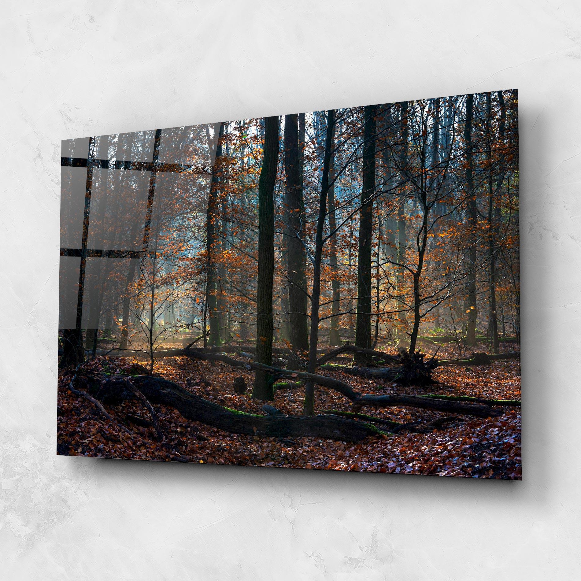 Glasbild Forest Autumn Day mockup 1