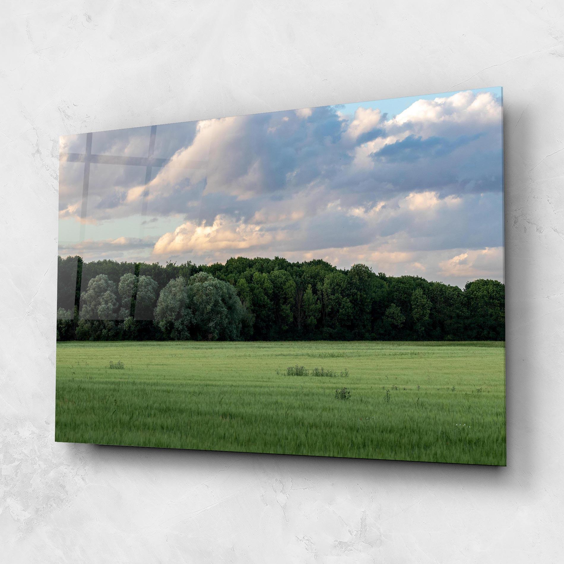 Glasbild Forest Field mockup 1