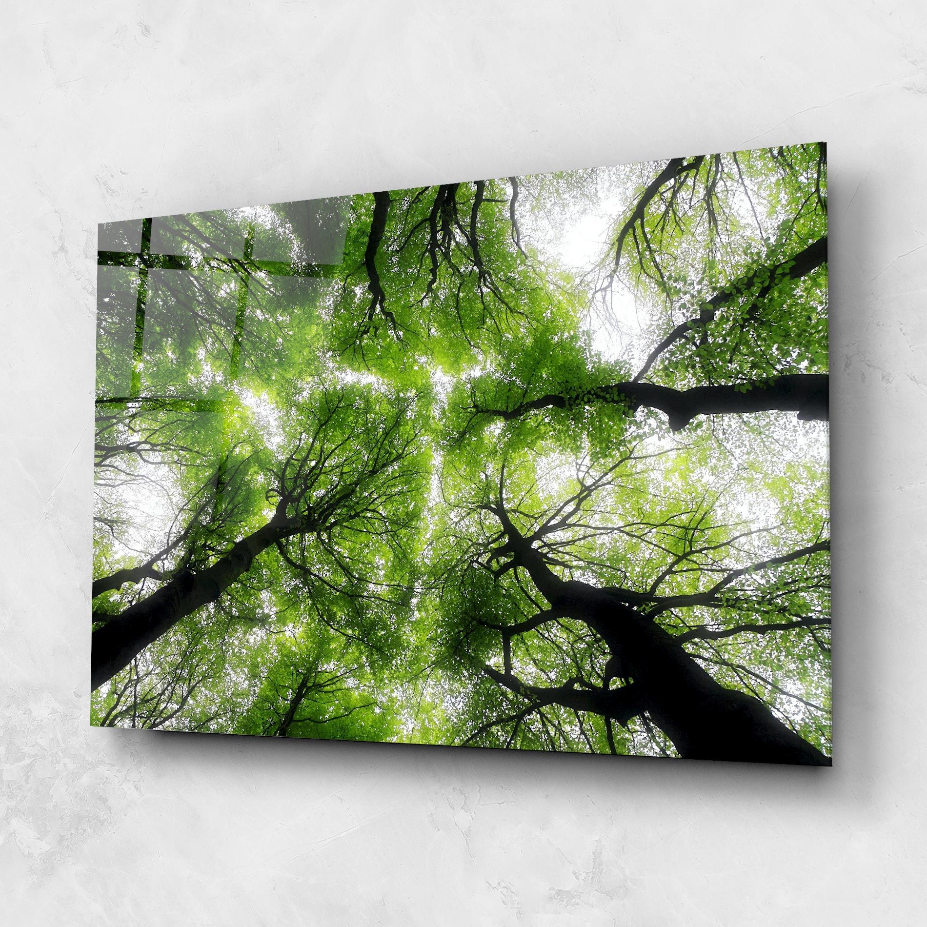 Forest Green Tree mockup 1