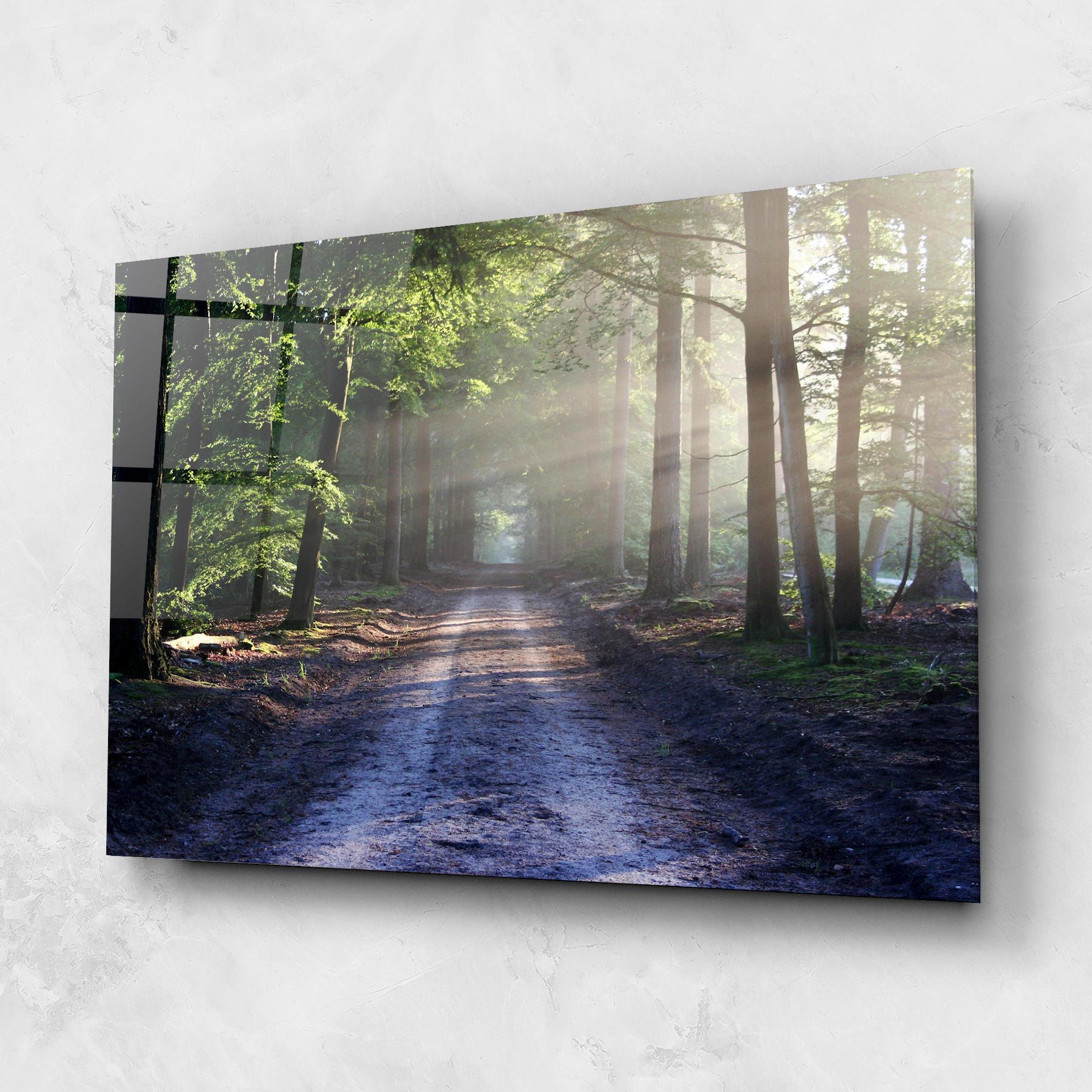 Forest Road mockup 1