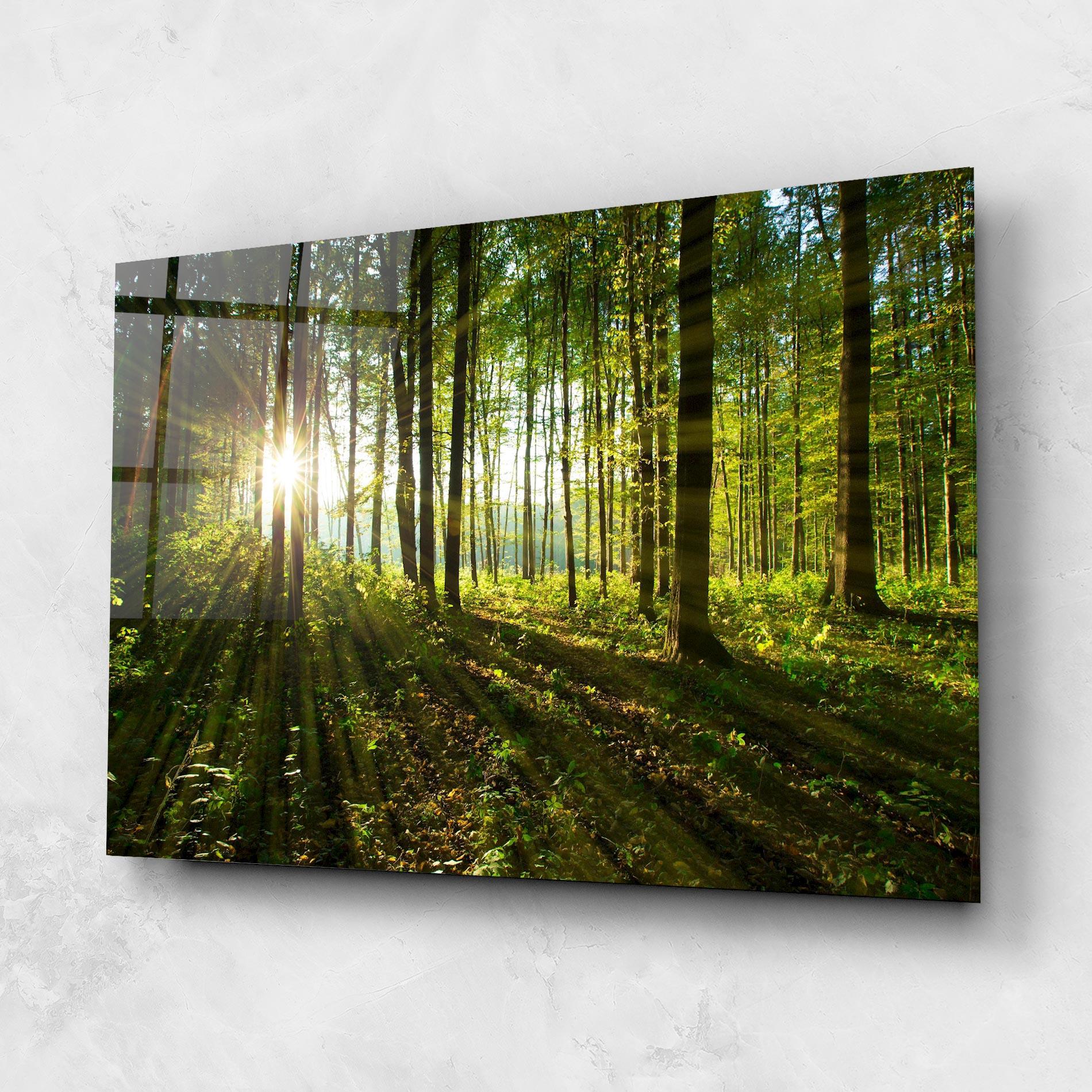 Glasbild Green Light Forest mockup 1