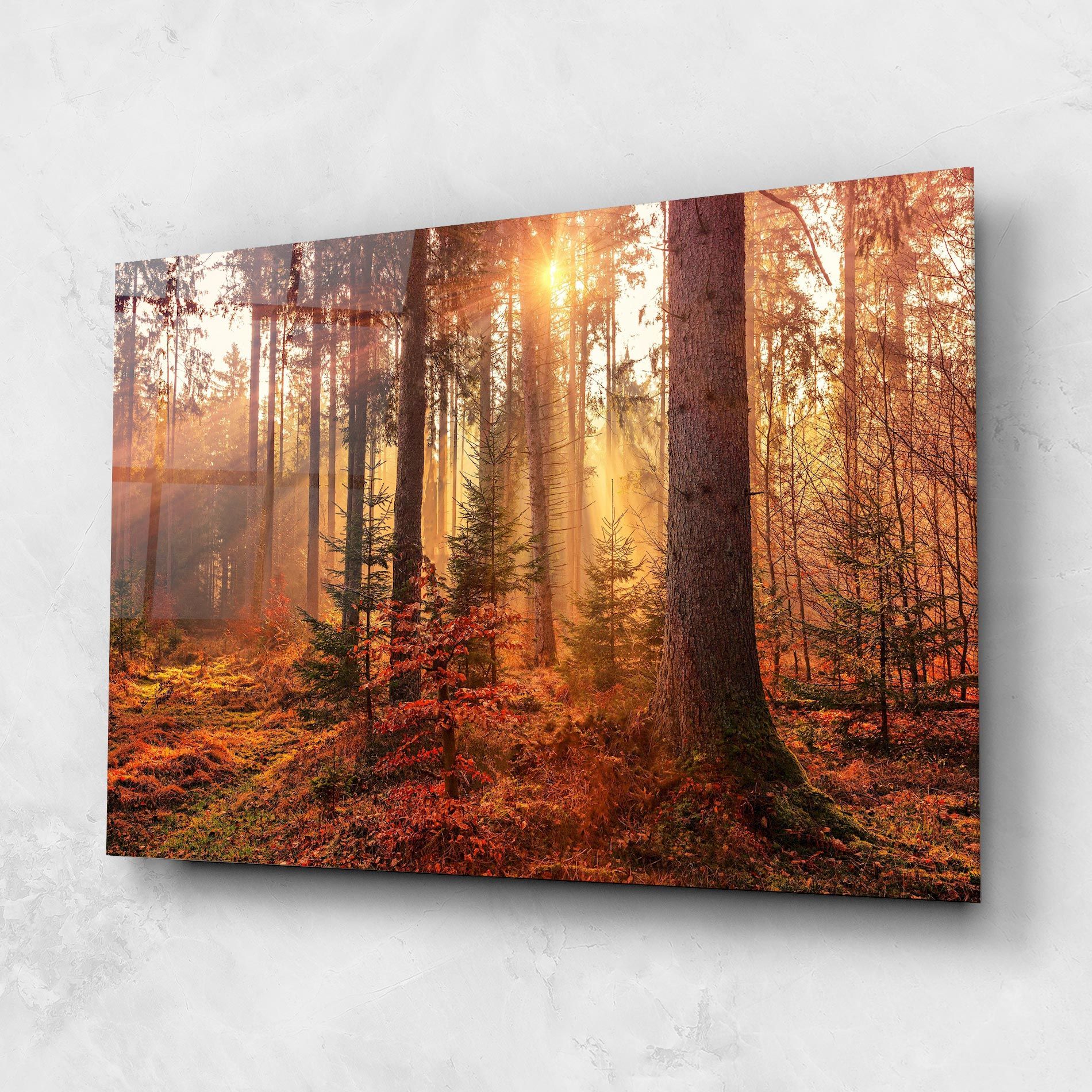 Orange Light Forest mockup 1