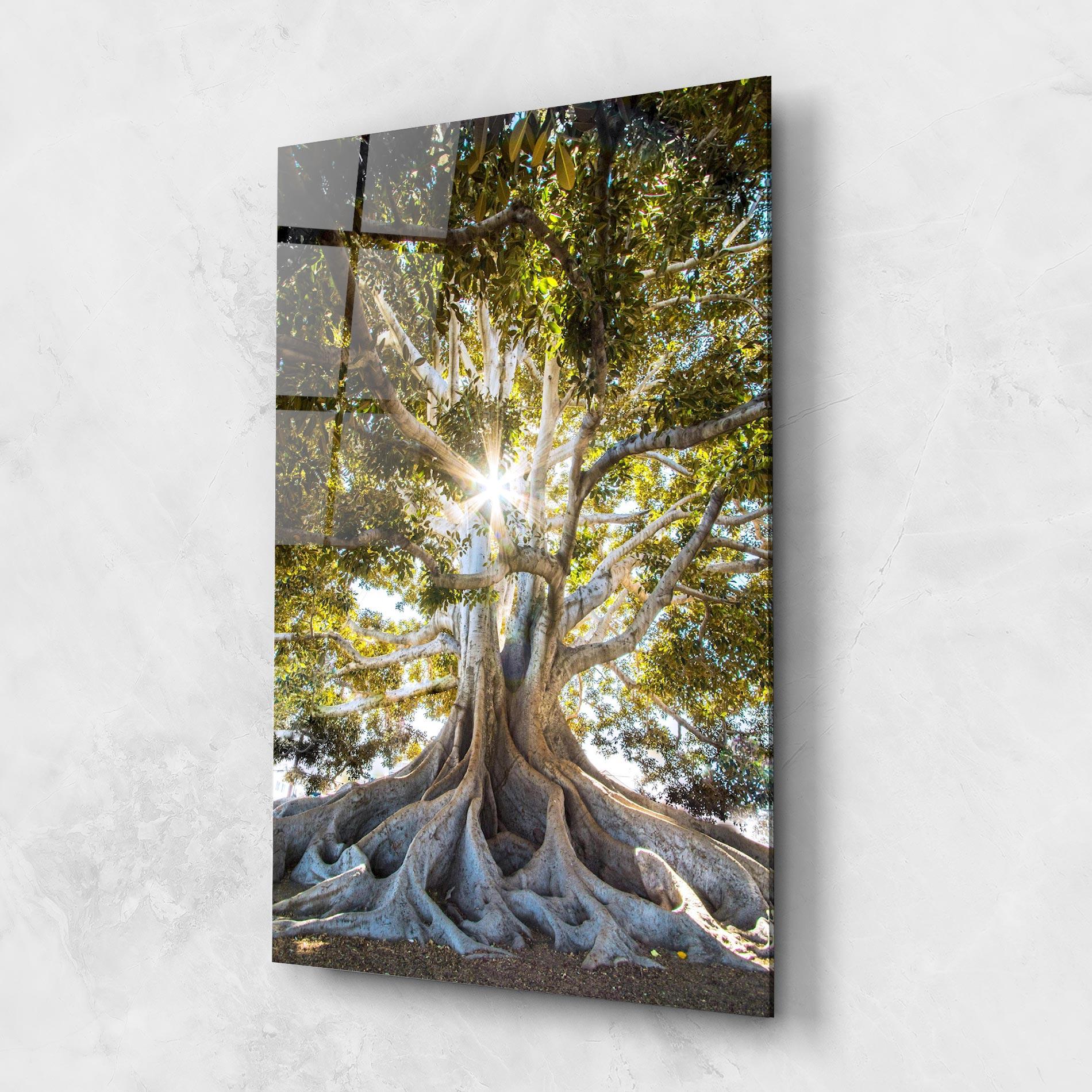 Glasbild Big Old Tree mockup 1