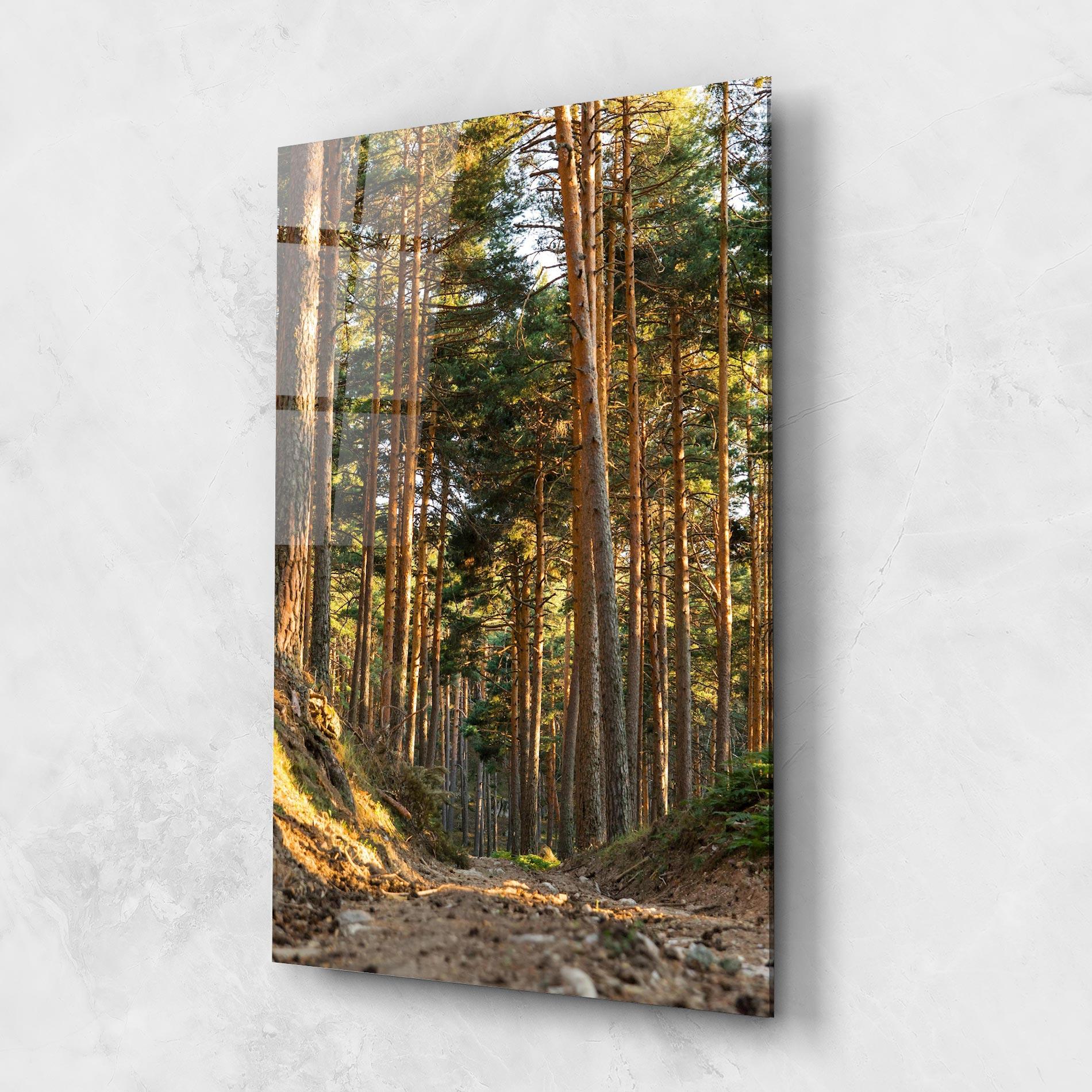 Glasbild Big Trees Forest mockup 1