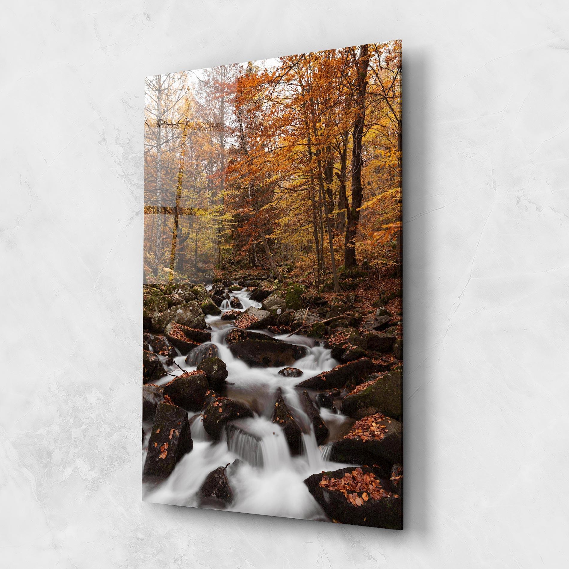 Glasbild River Forest View mockup 1