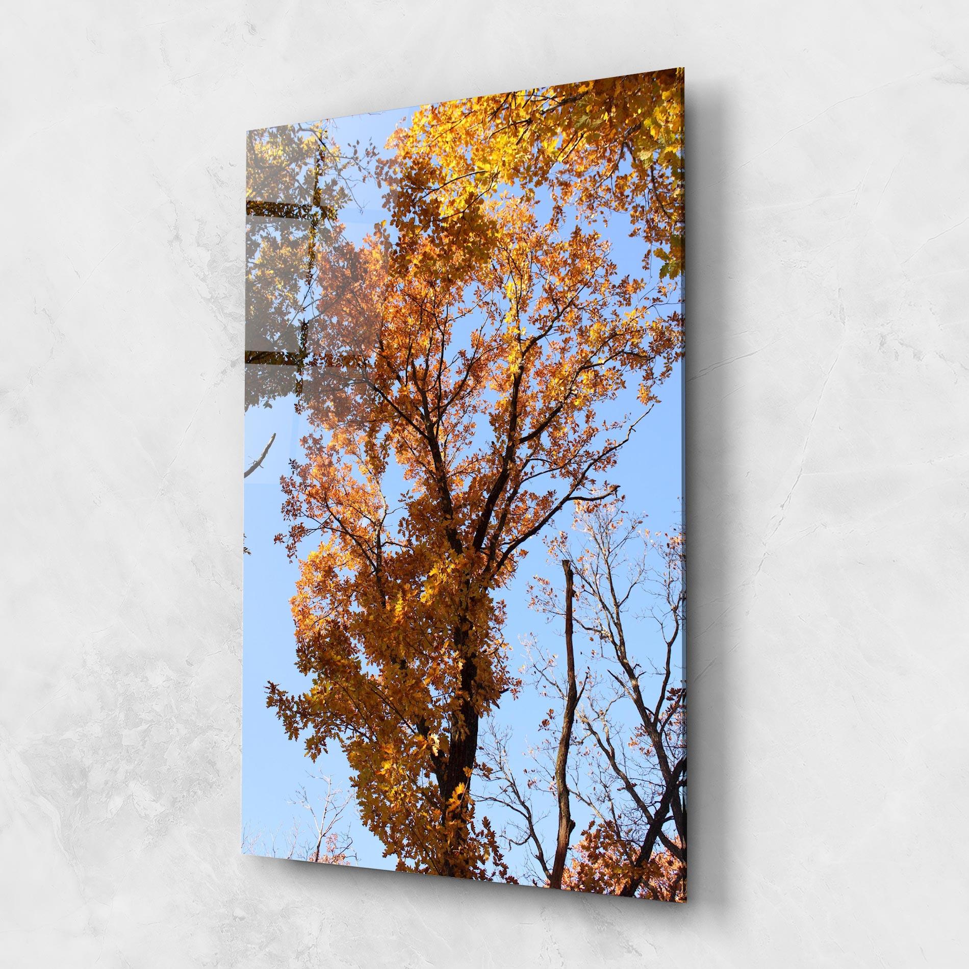 Glasbild Yellow Tree Forest mockup 1