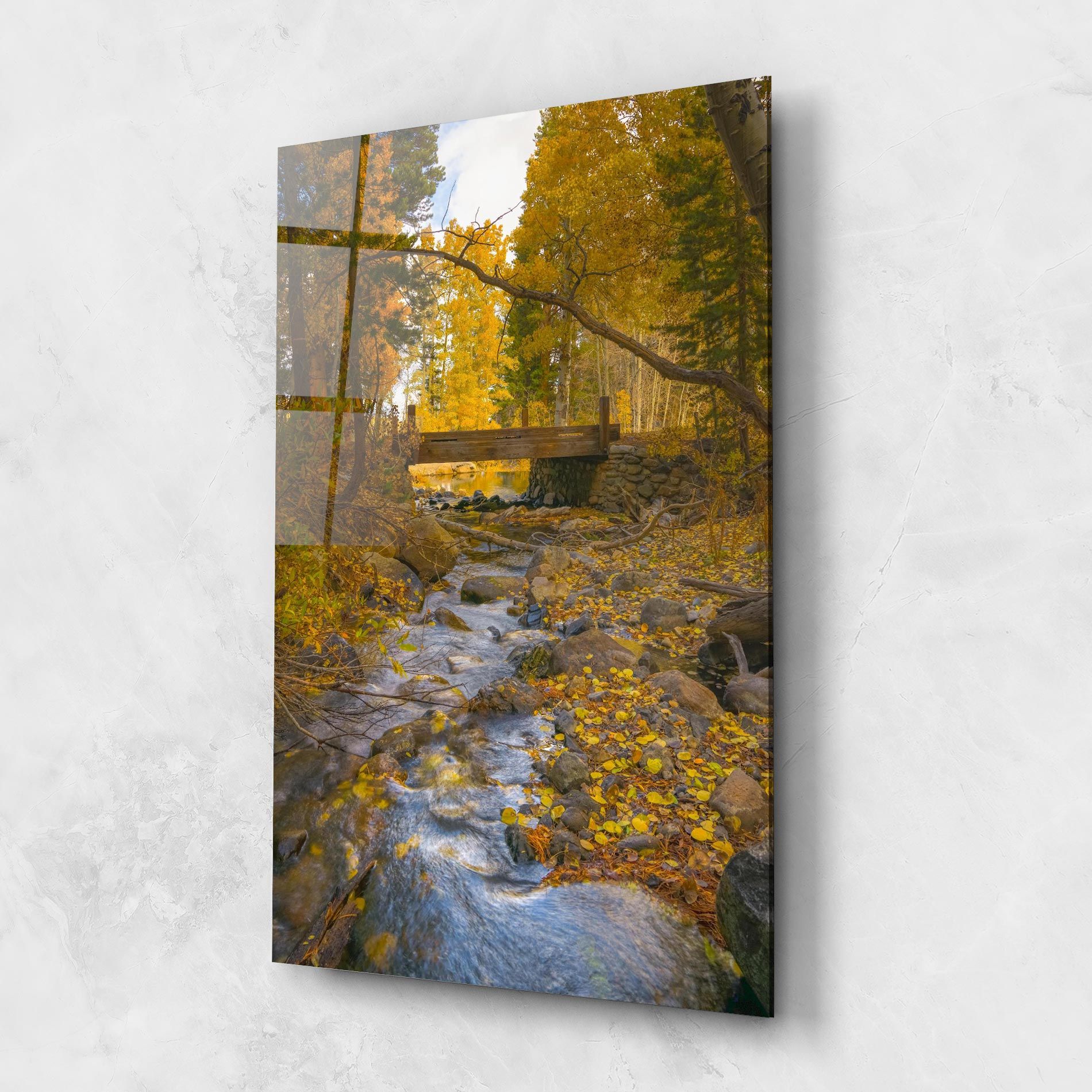 Yellow View Forest mockup 1