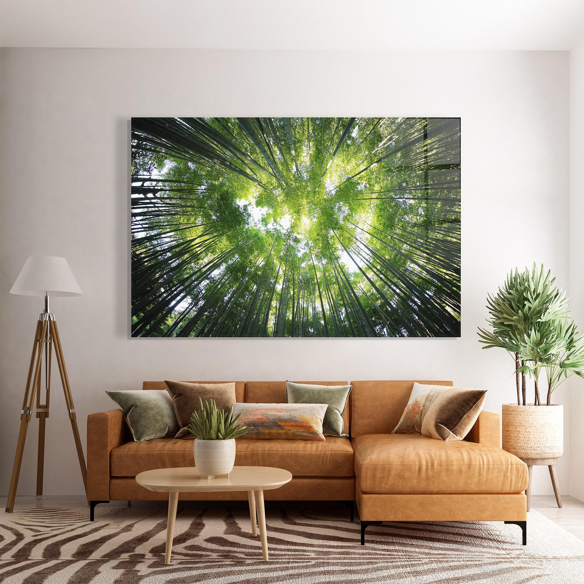 Glasbild Big Trees Morning mockup 7