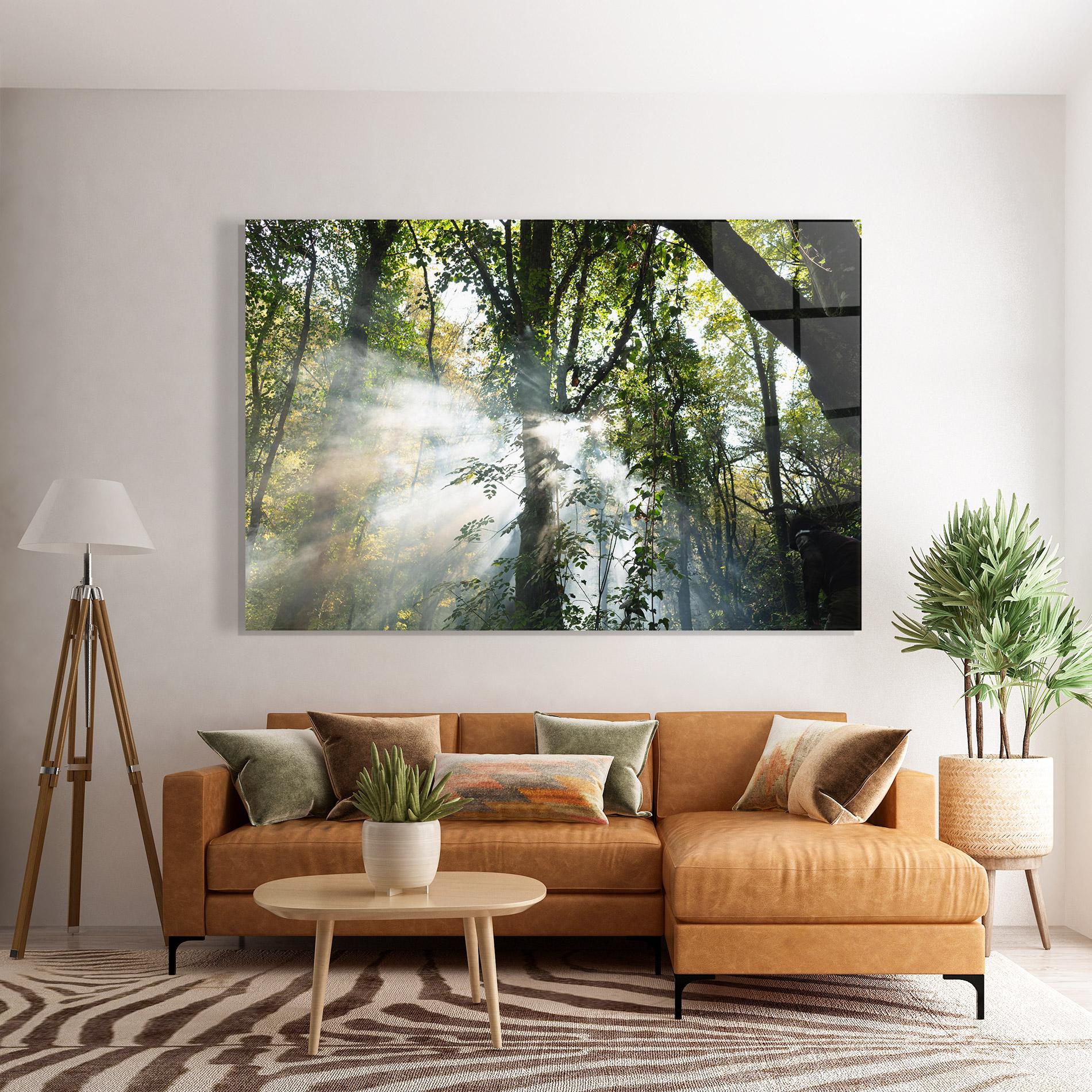 Glasbild Foggy Light Forest mockup 7