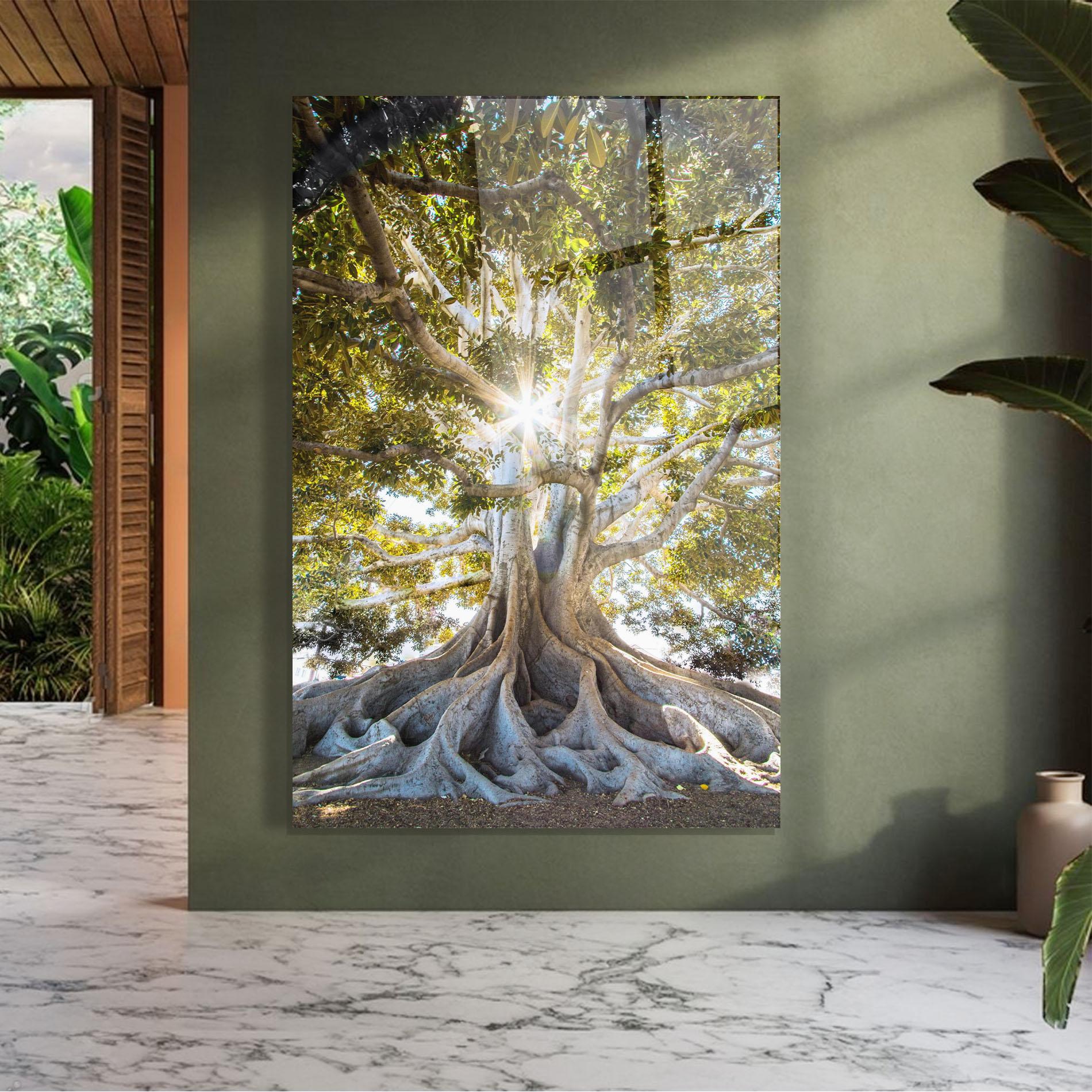 Glasbild Big Old Tree mockup 7